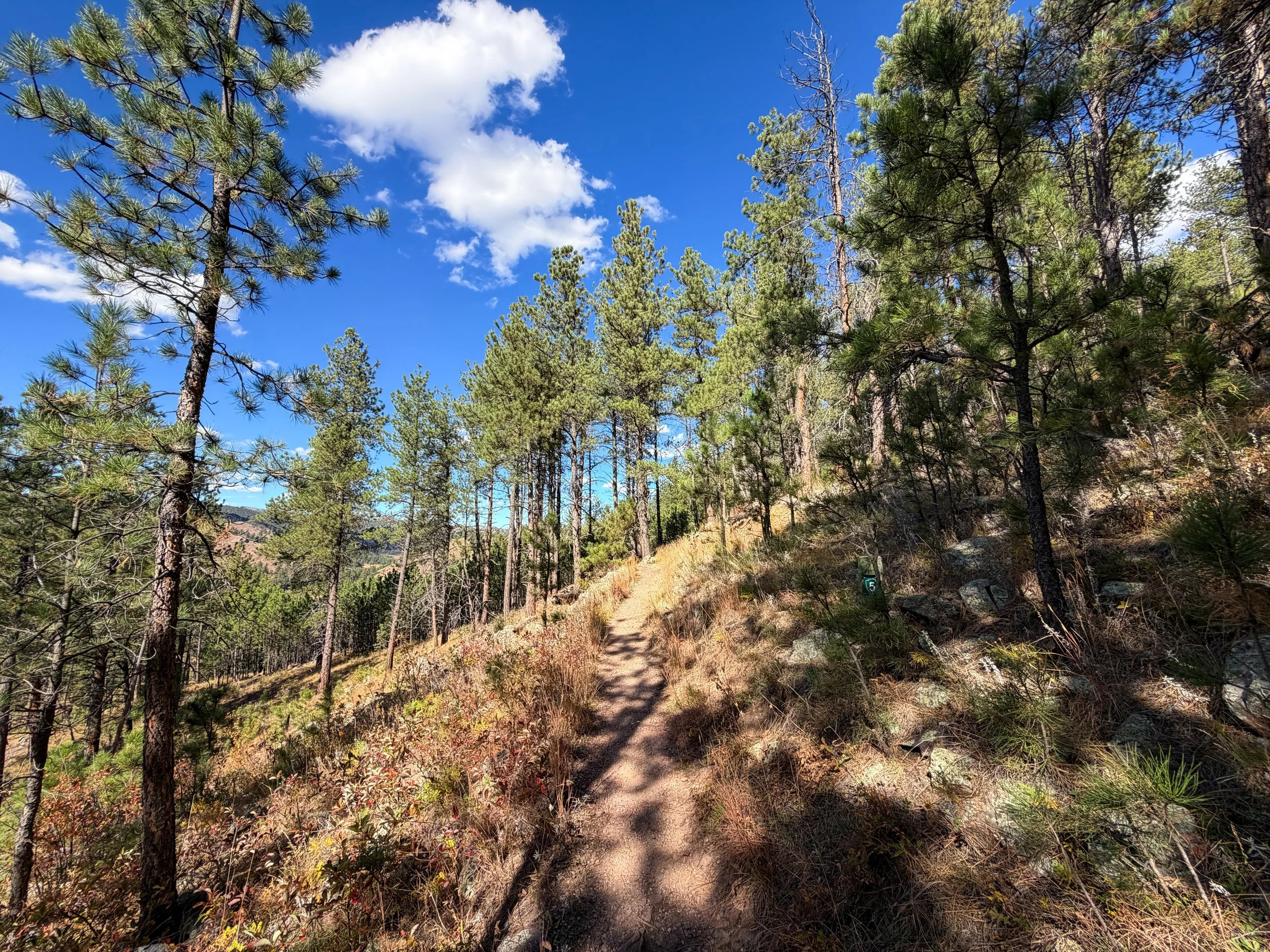 Rankin Ridge Trail Wind Cave National Park South Dakota