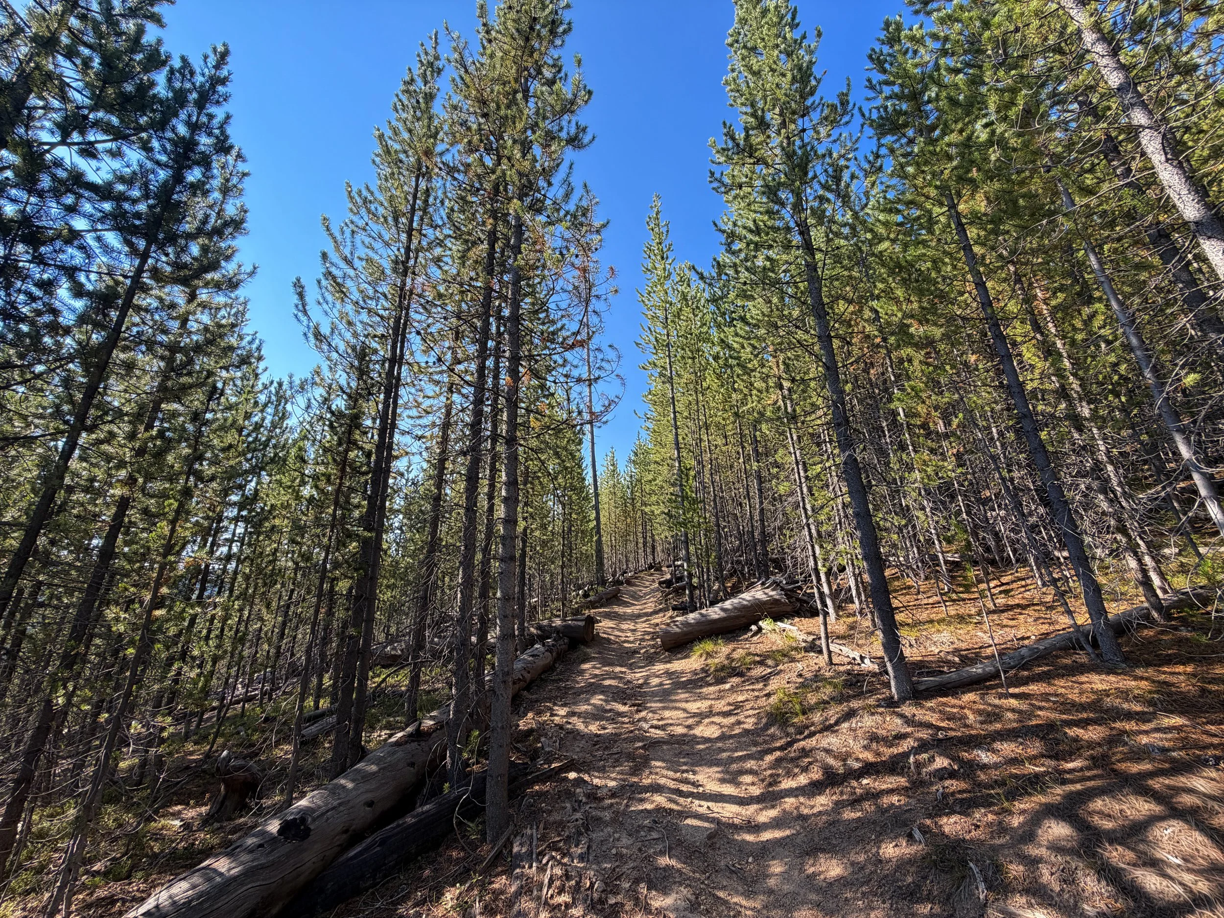 Monument Geyser Basin Trail Yellowstone National Park Wyoming