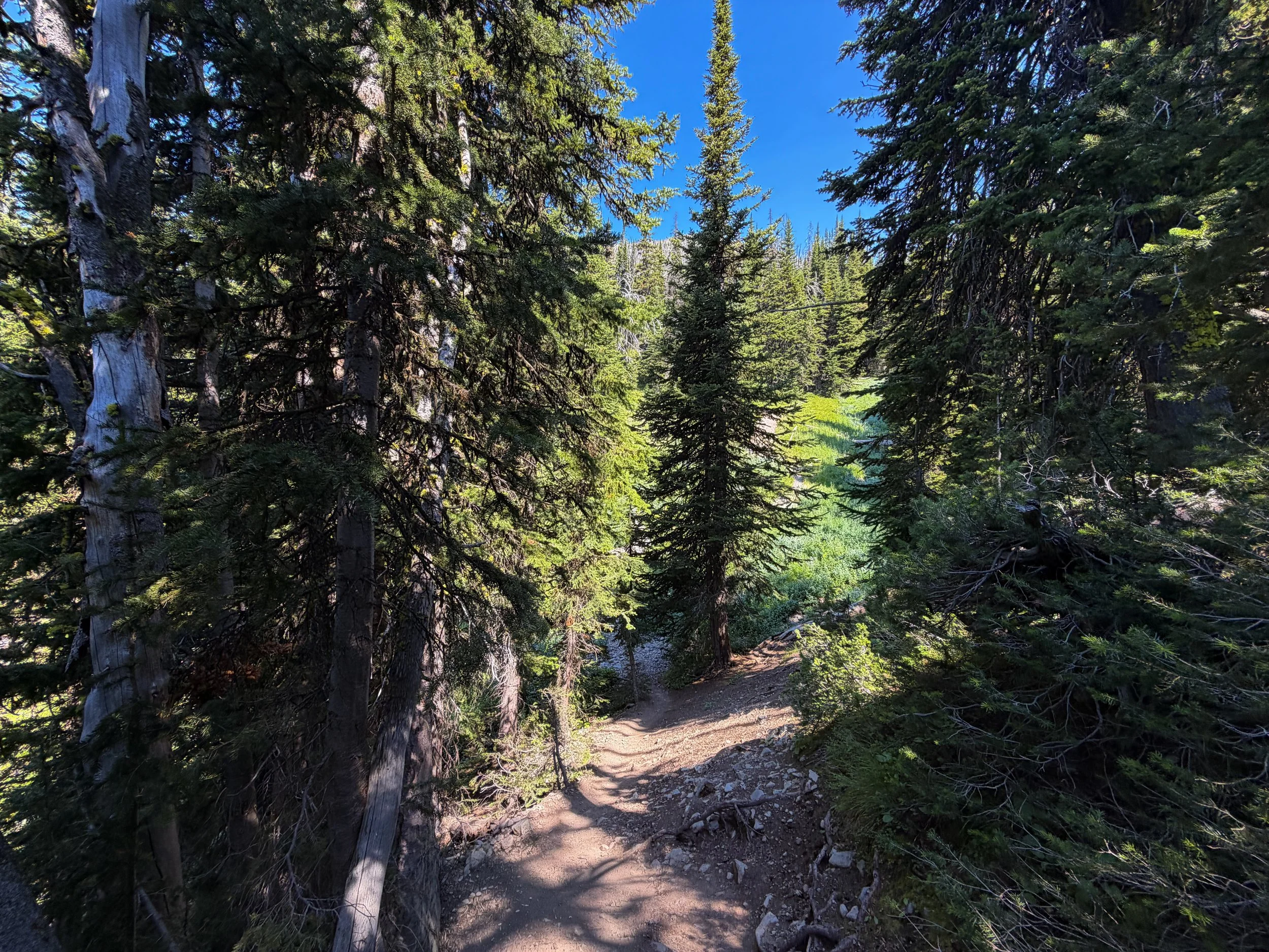 Avalanche Peak Hike Yellowstone National Park Wyoming