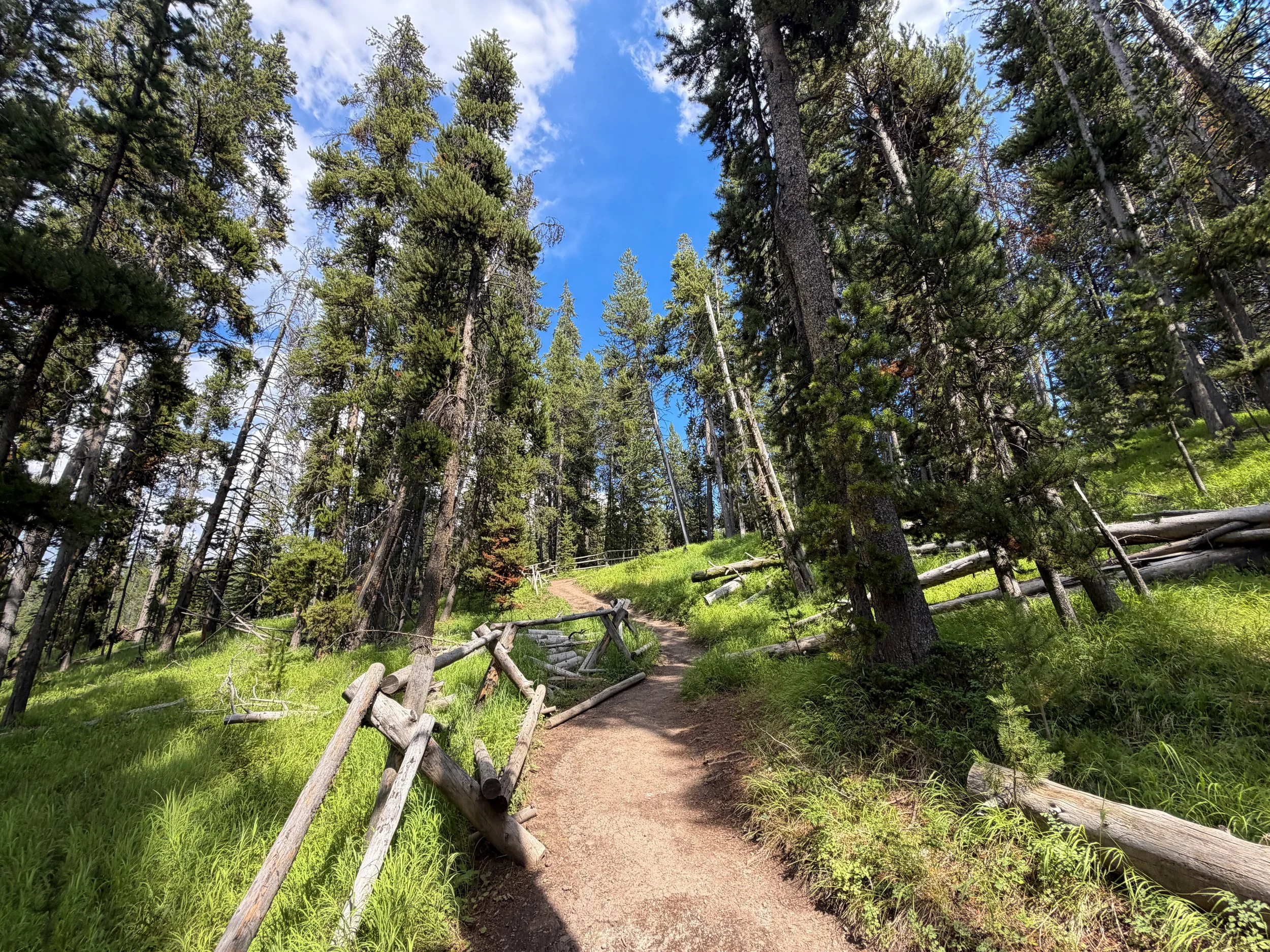South Rim Trail Yellowstone National Park Wyoming