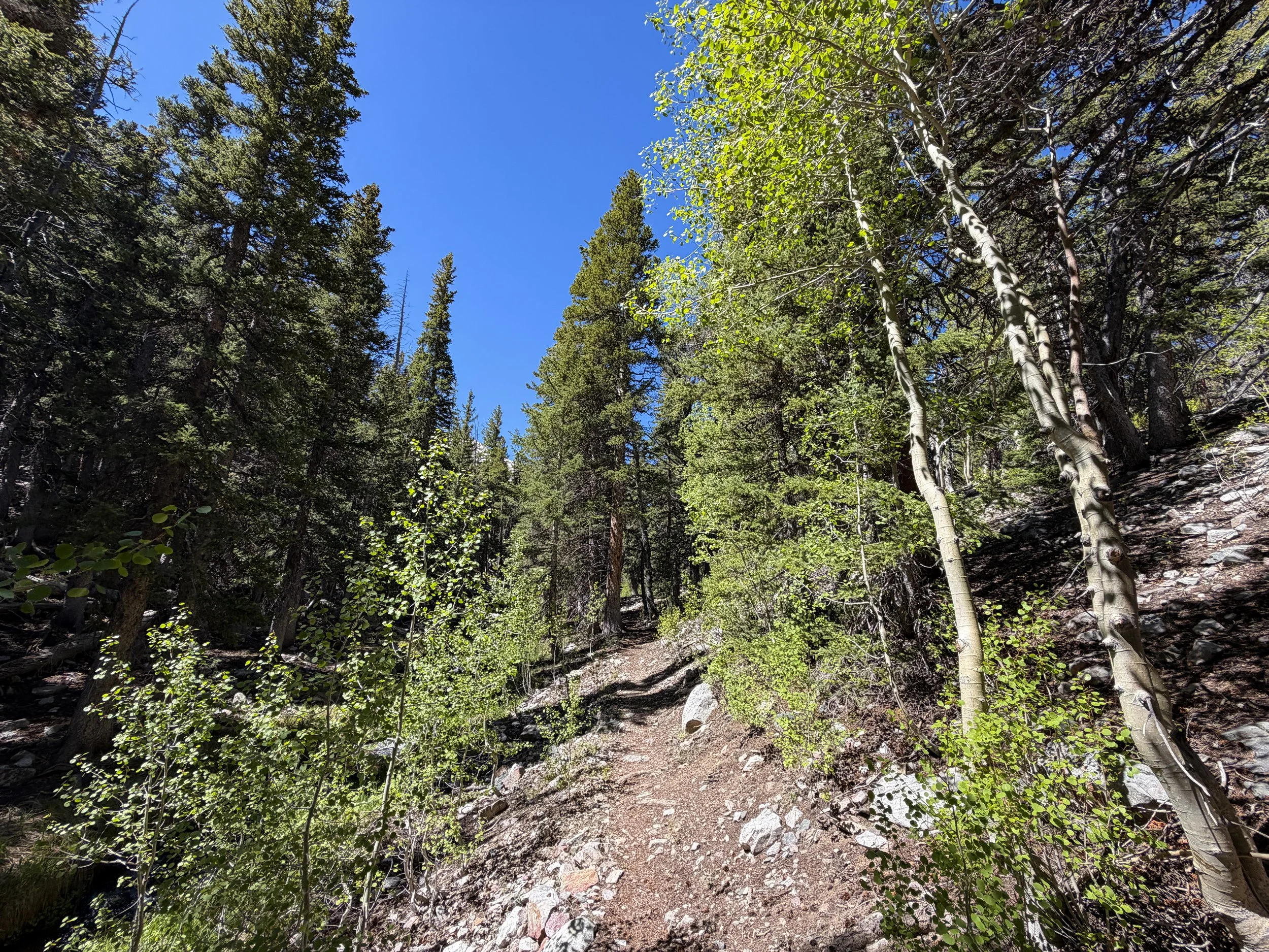 Baker Lake Trail Great Basin National Park Nevada