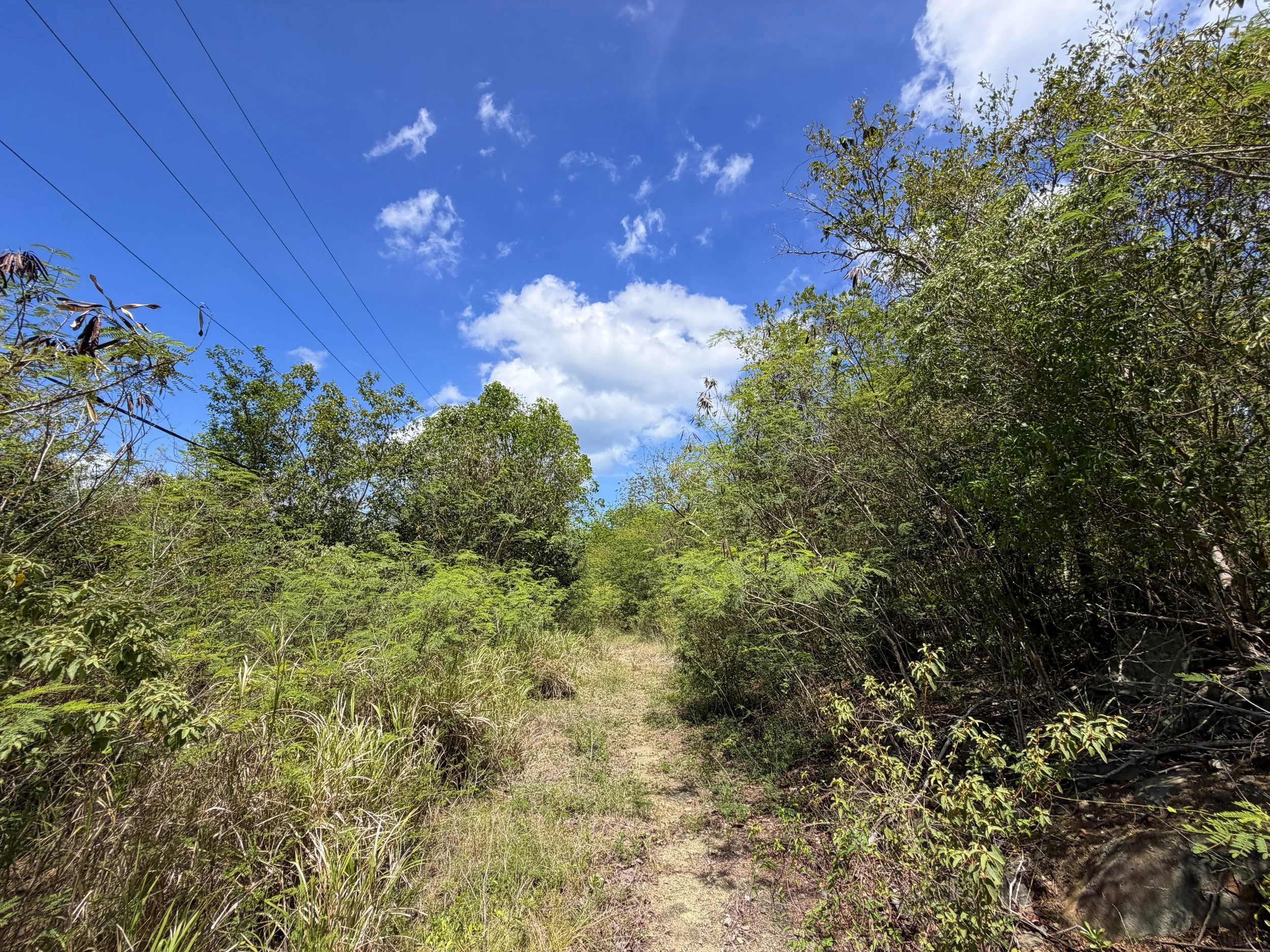 Water Catchment Trail Virgin Islands National Park