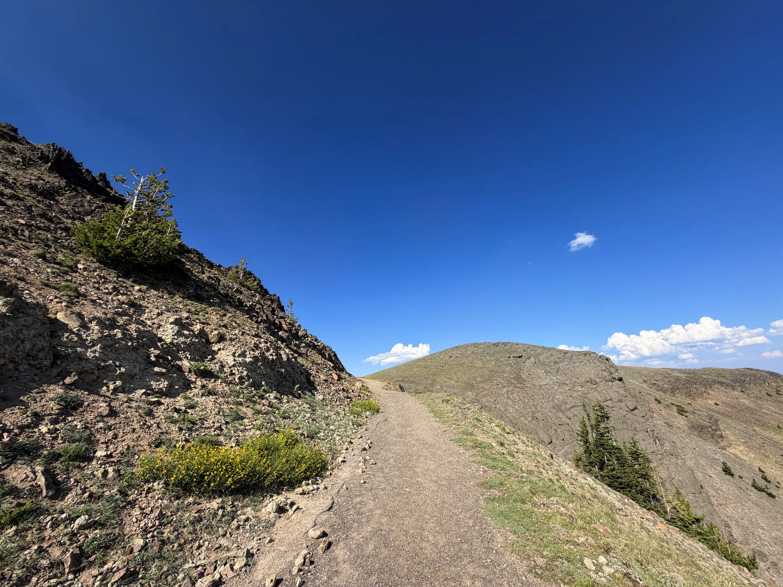 South Mt. Washburn Trail via Dunraven Pass Yellowstone National Park Wyoming