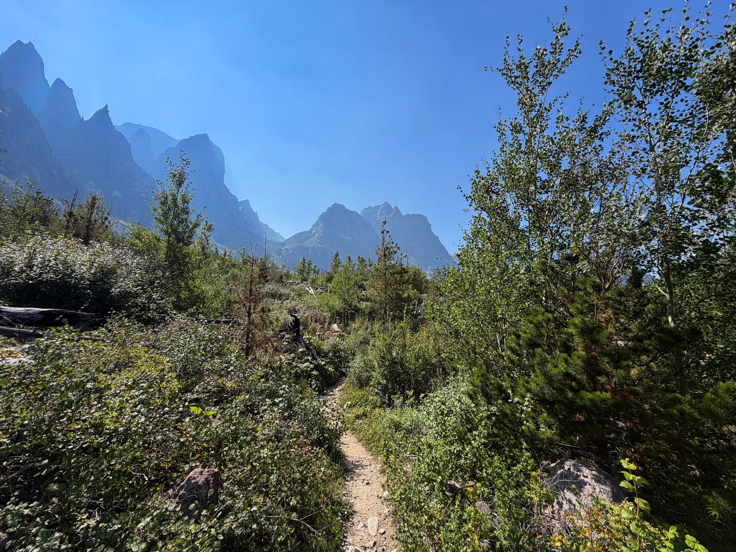 The Beaten Path Trail Beartooth Mountains Montana