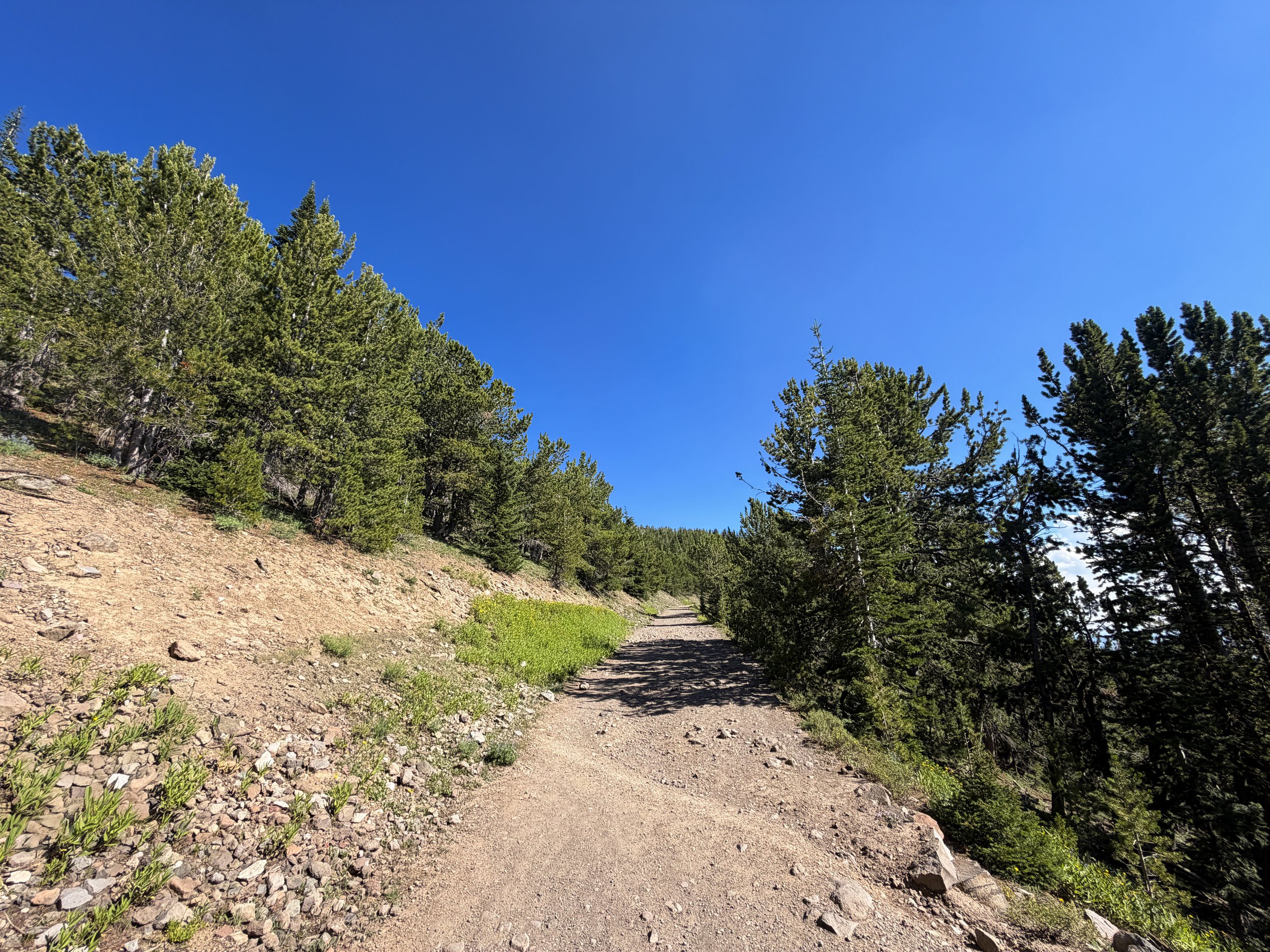 South Mt. Washburn Trail Yellowstone National Park Wyoming