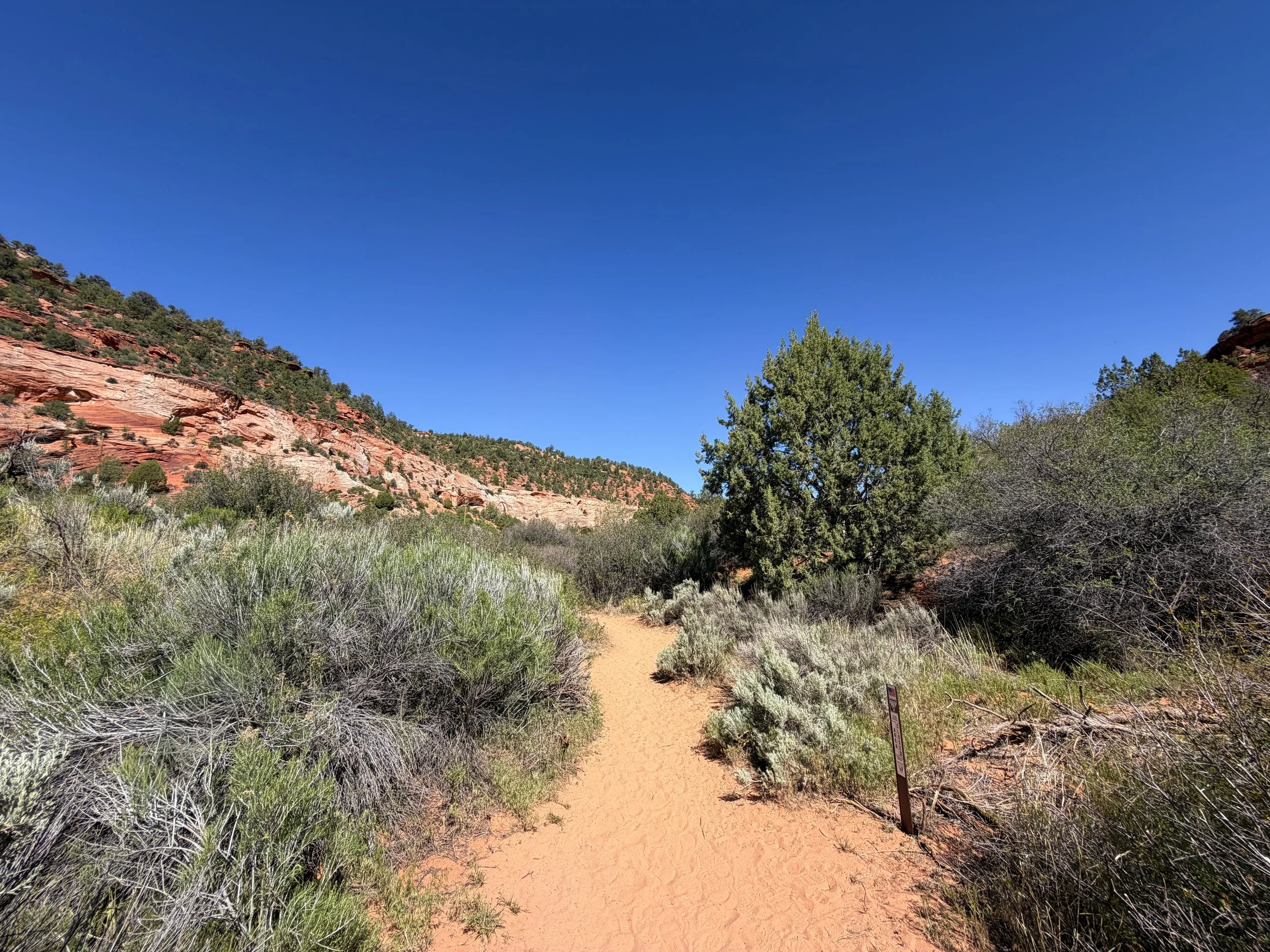 Sand Caves Trail Kanab Utah