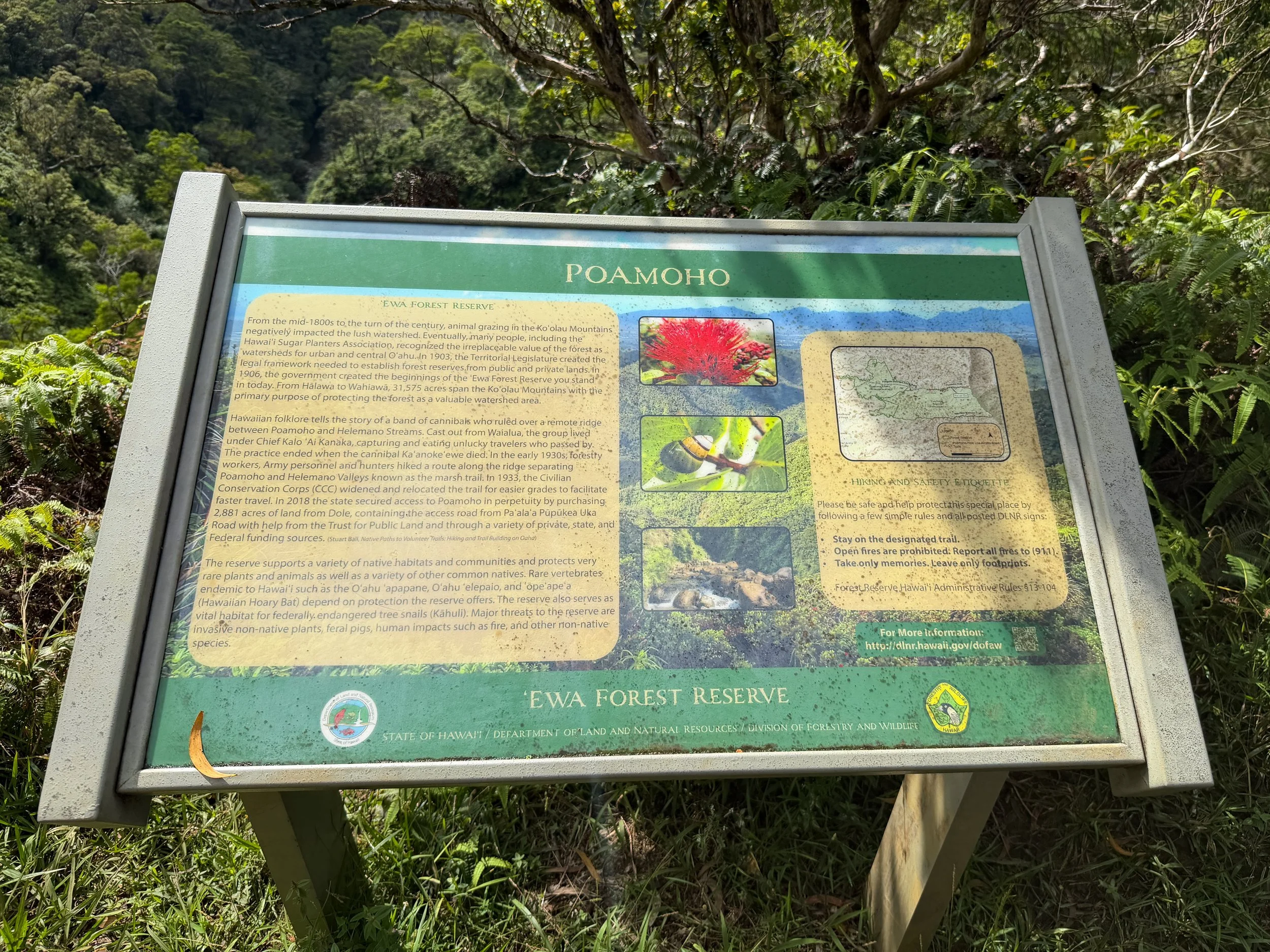 Poamoho Hike Oahu Hawaii