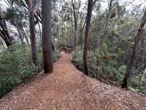 Hiking the ʻAiea Loop Trail on Oʻahu, Hawaiʻi — noahawaii