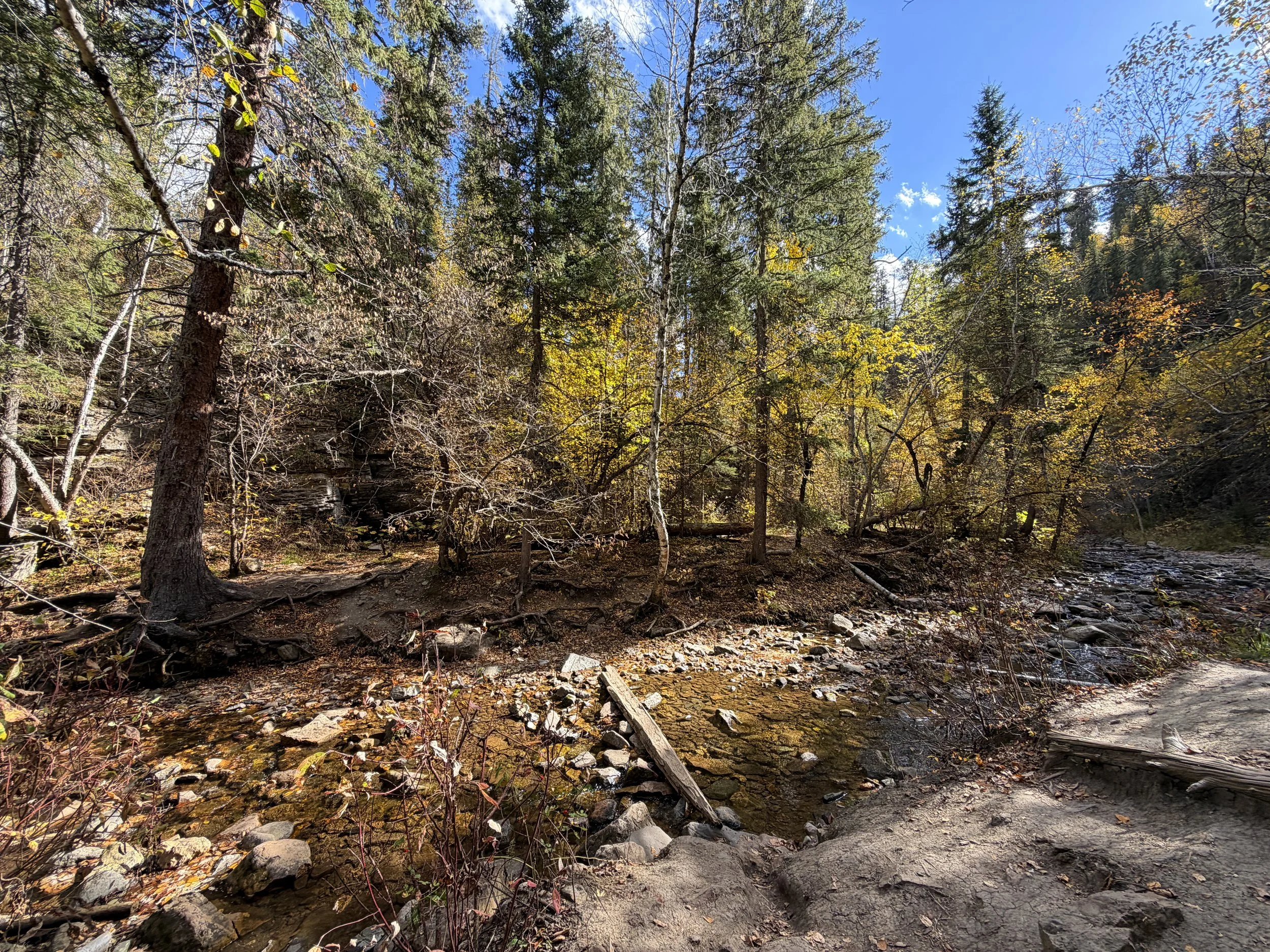 Devils Bathtub Trail Spearfish Canyon Black Hills South Dakota
