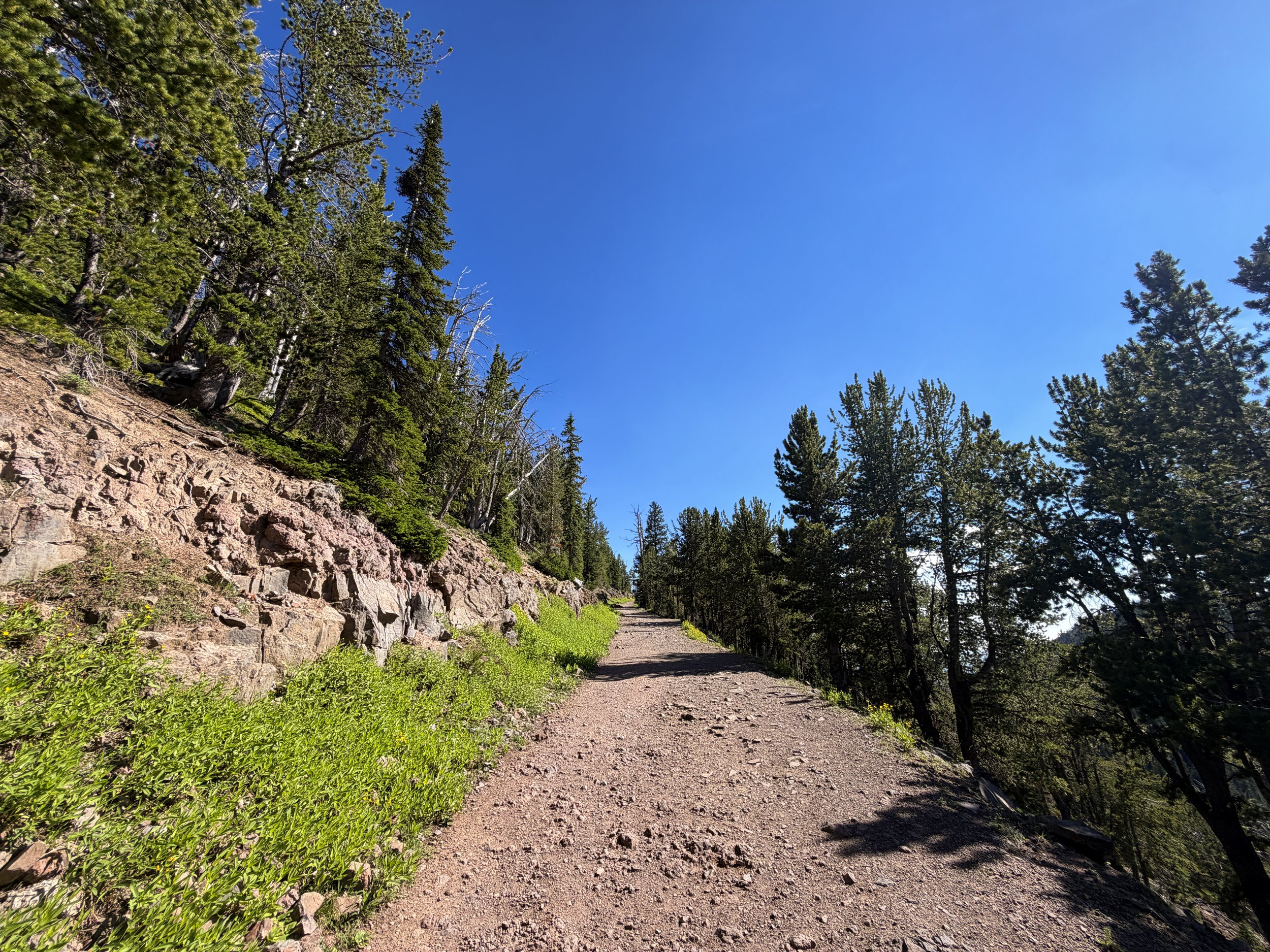 Mt. Washburn Hike via Dunraven Pass Yellowstone National Park Wyoming