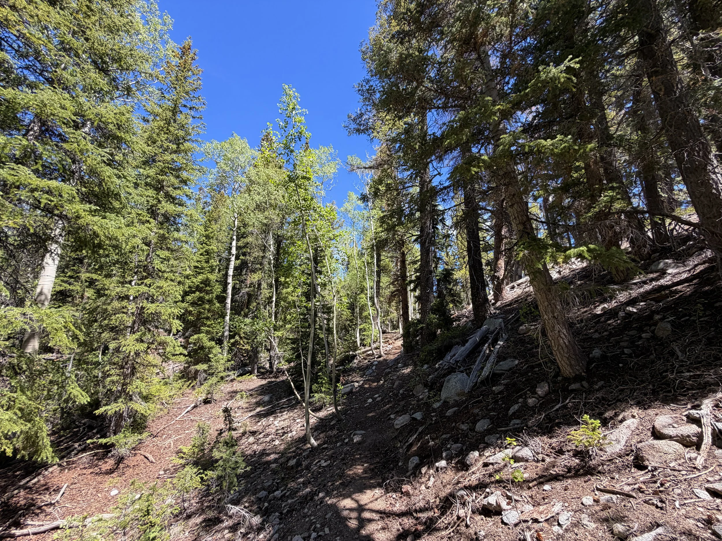 Dead Lake Trail Great Basin National Park Nevada
