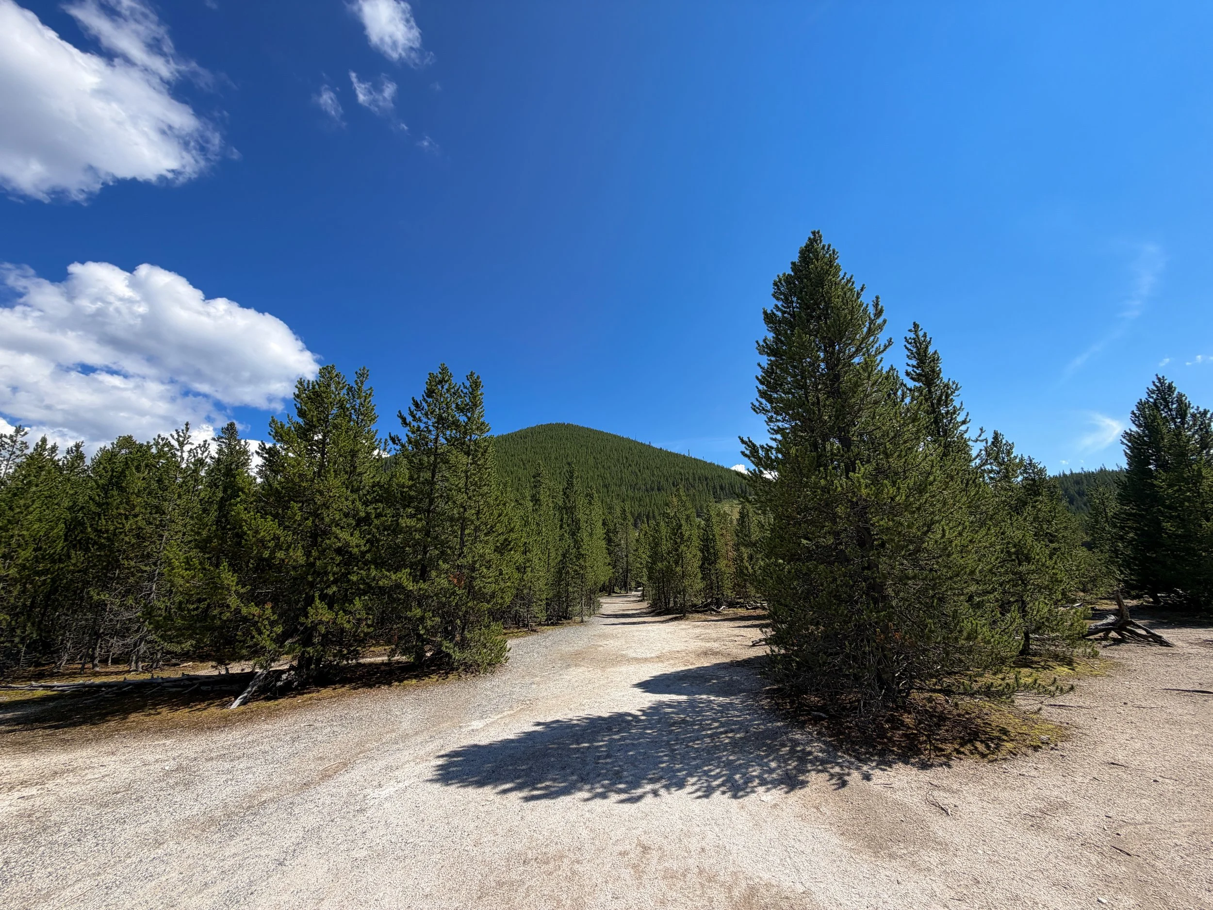 Artists Paintpots Trail Yellowstone National Park Wyoming