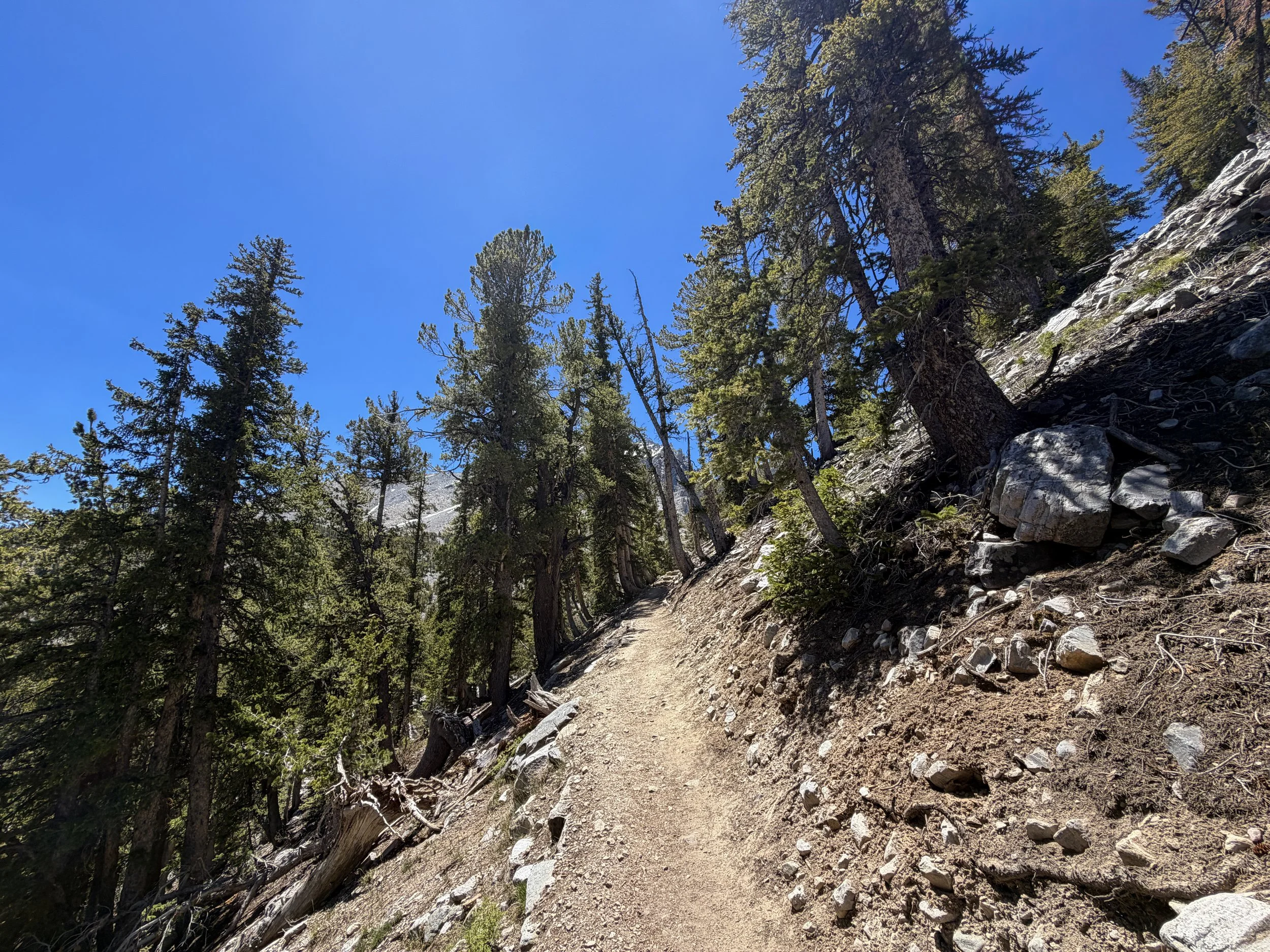 Bristlecone Pine Trail Great Basin National Park Nevada