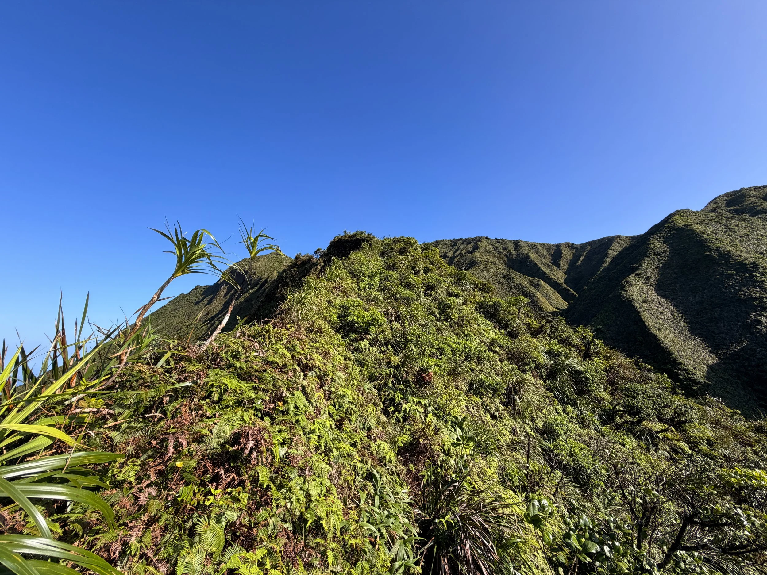Moanalua Saddle to Stairway to Heaven KST Oahu Hawaii