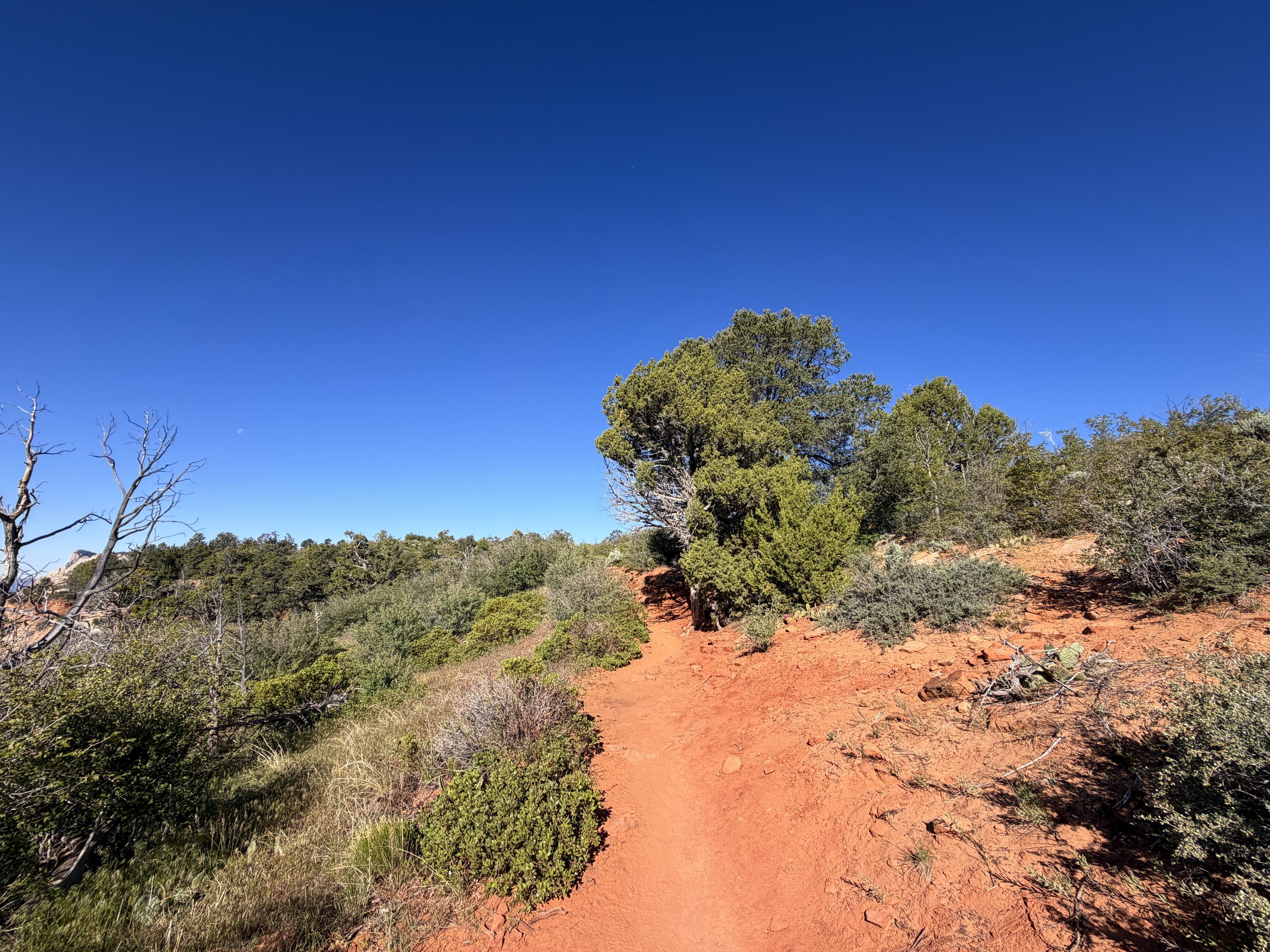 Observation Point Trail Zion National Park Utah