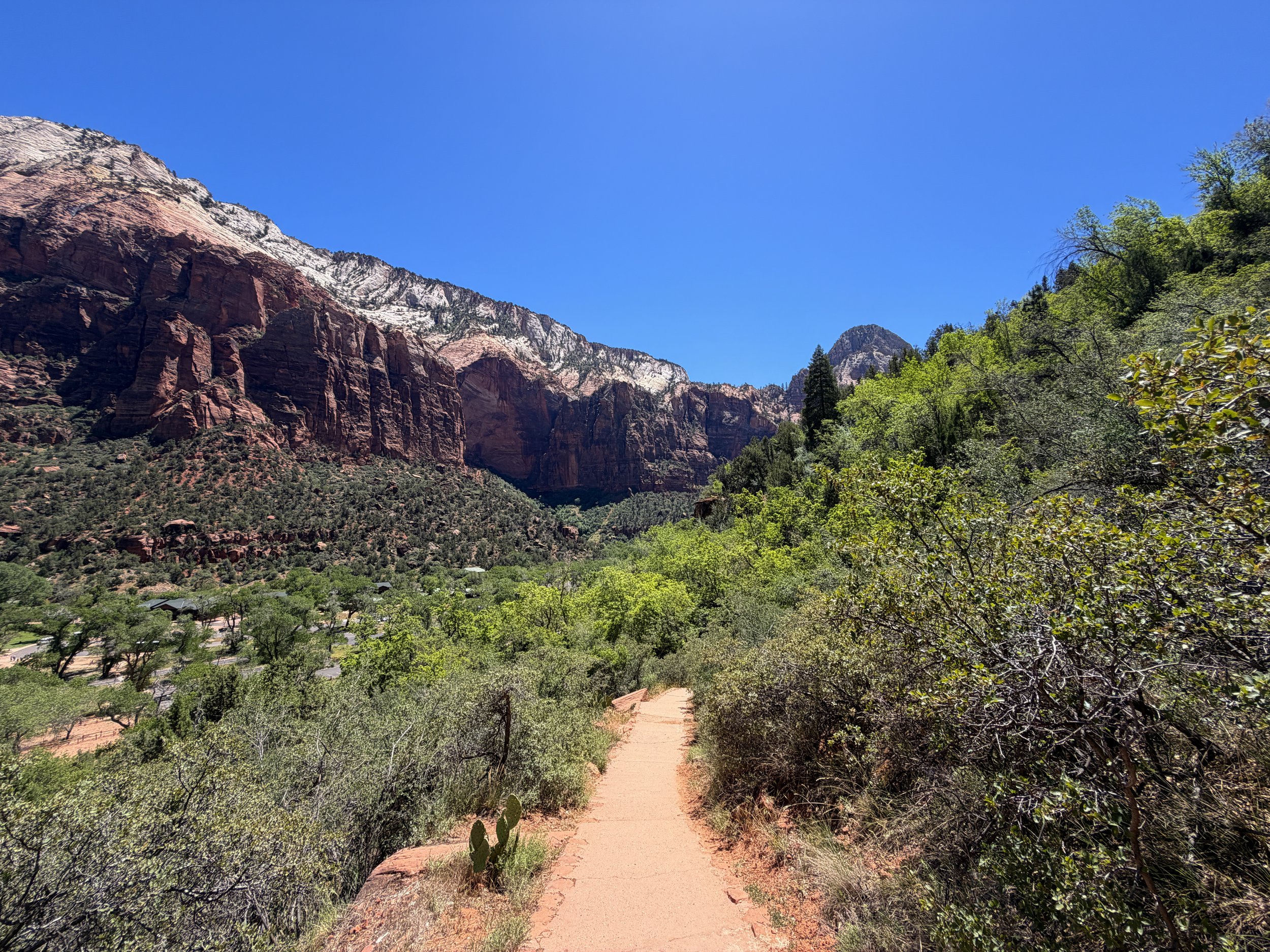 Middle Emerald Pool Trail Zion National Park Utah
