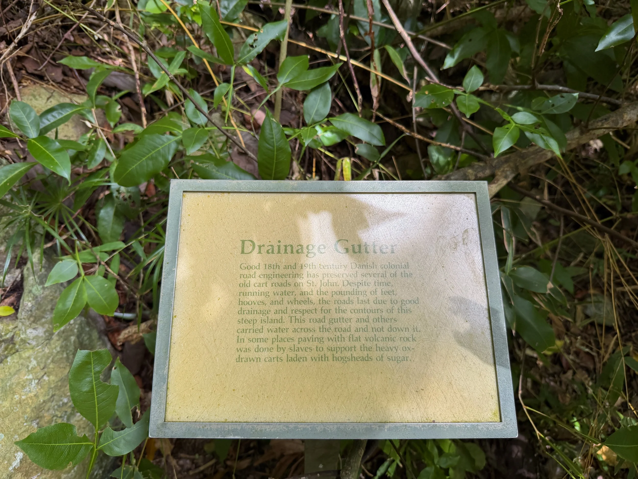 Reef Bay Trail Virgin Islands National Park