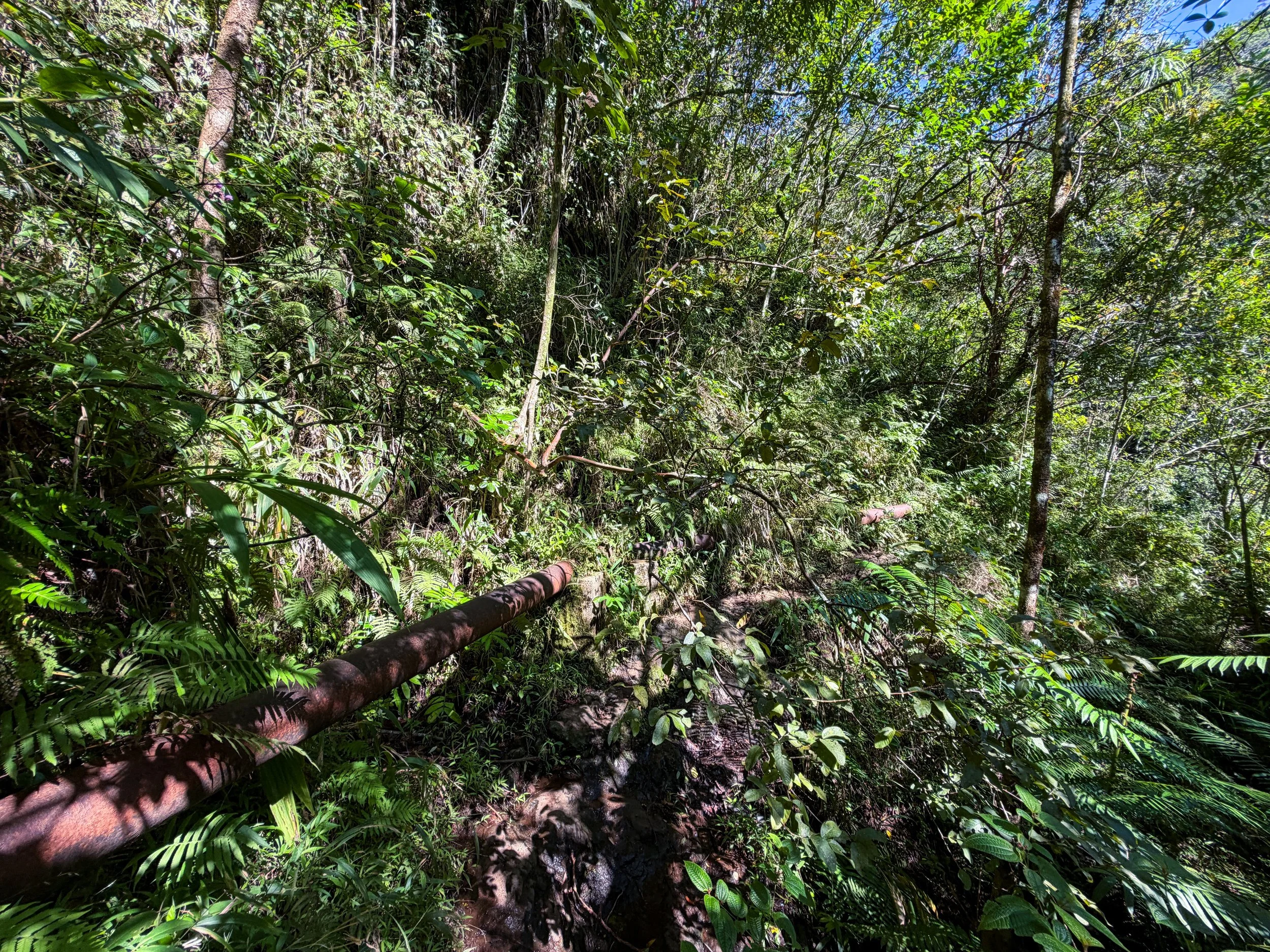 Kaau Crater Hike Oahu Hawaii
