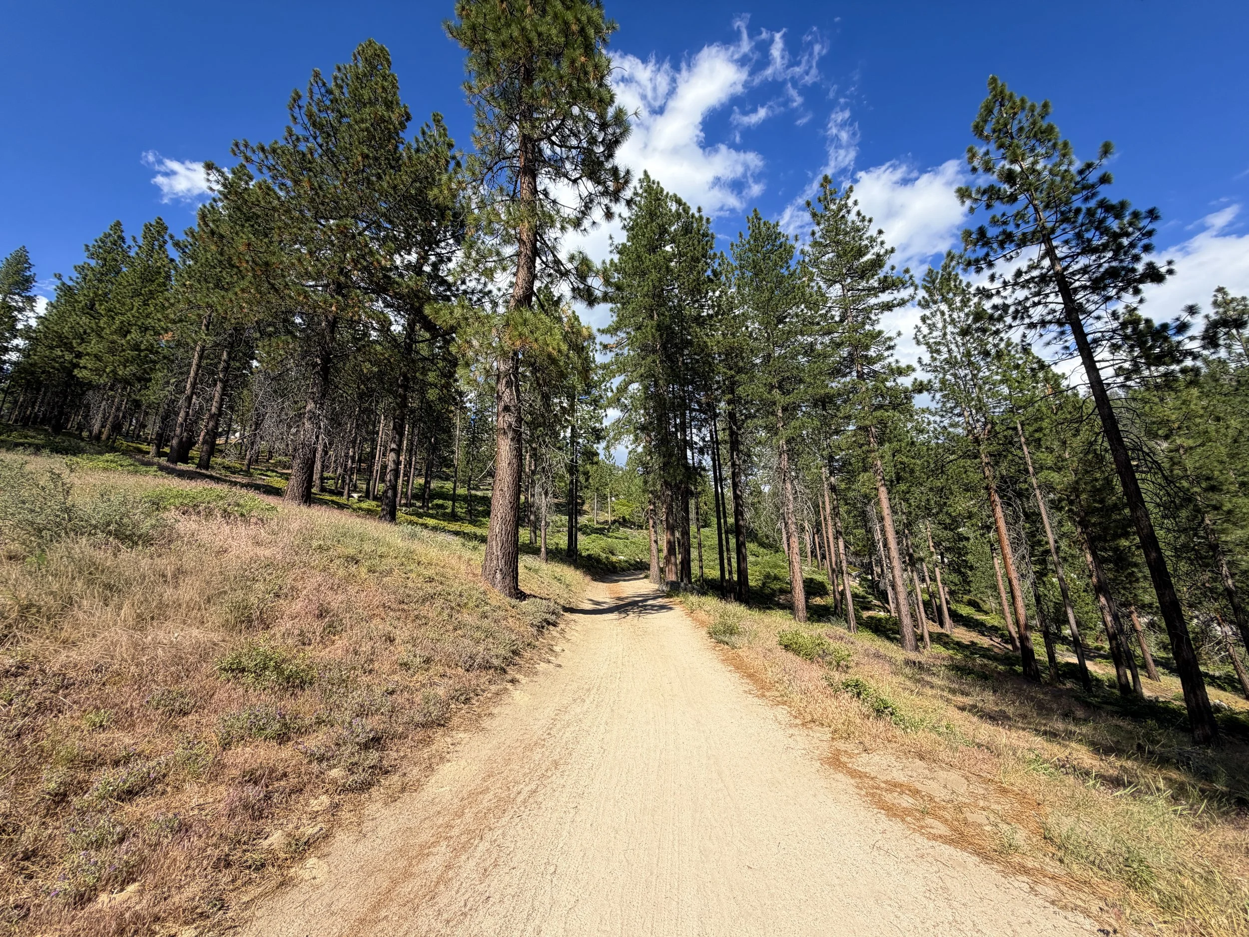 Monkey Rock Hike Lake Tahoe Nevada