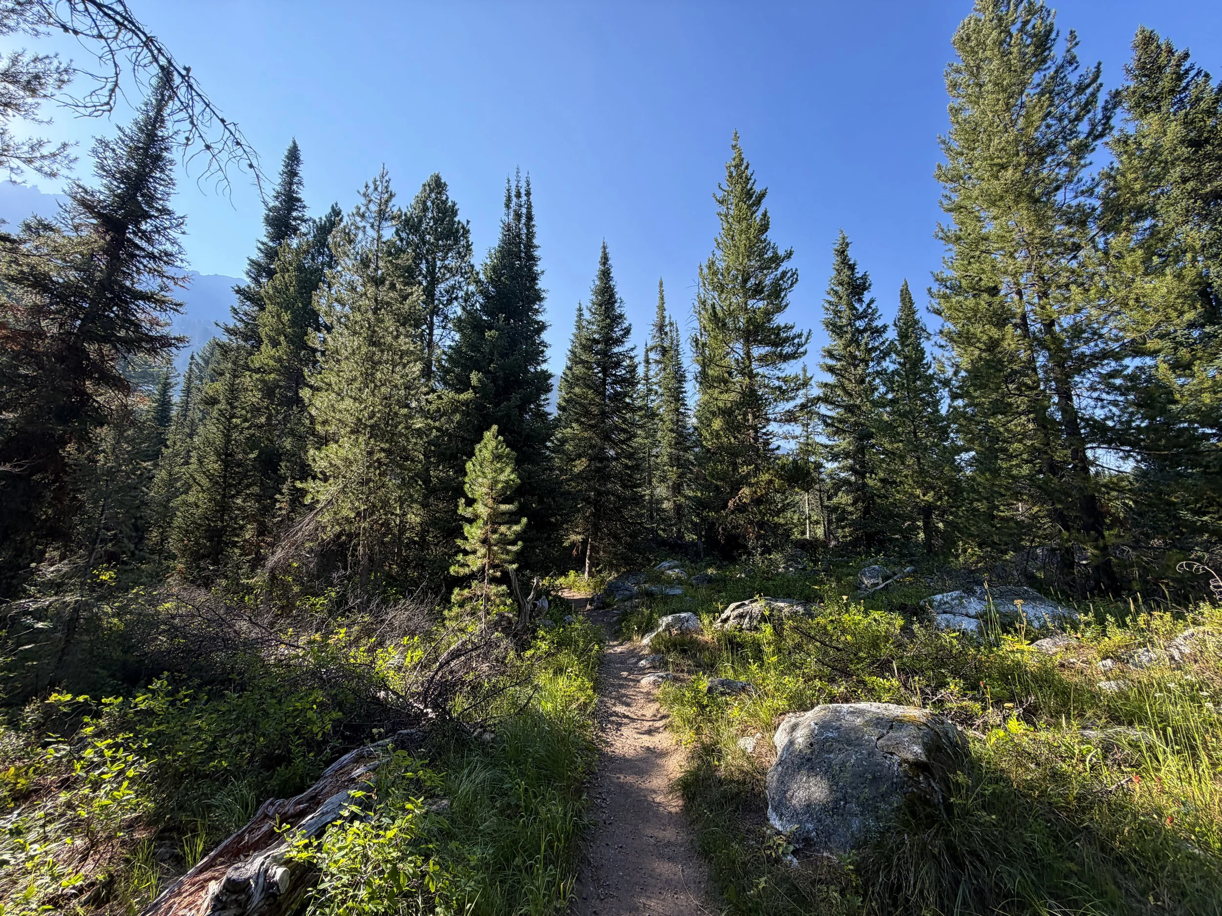 Moose Ponds Trail Grand Teton National Park Wyoming