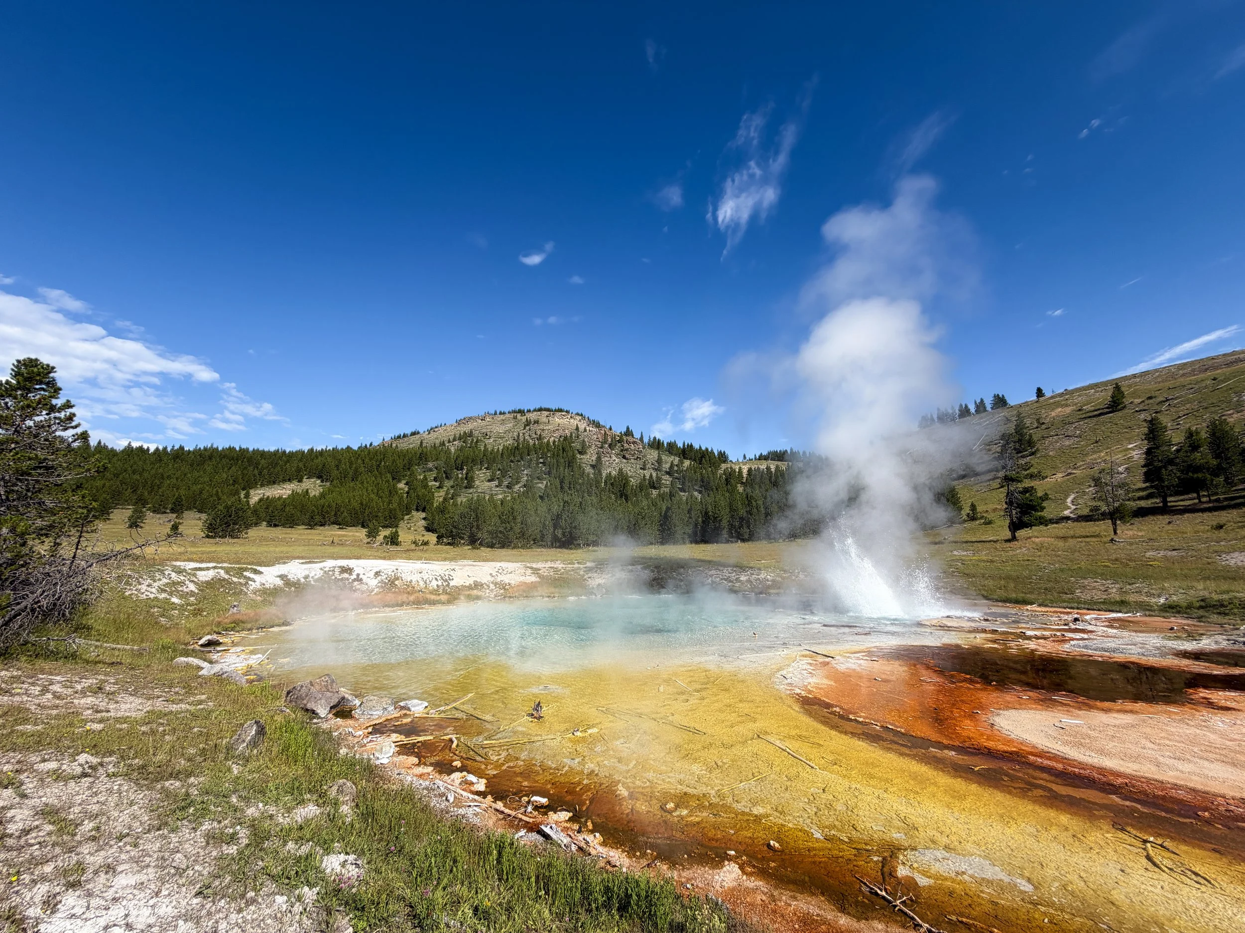 Imperial Geyser Yellowstone National Park Wyoming