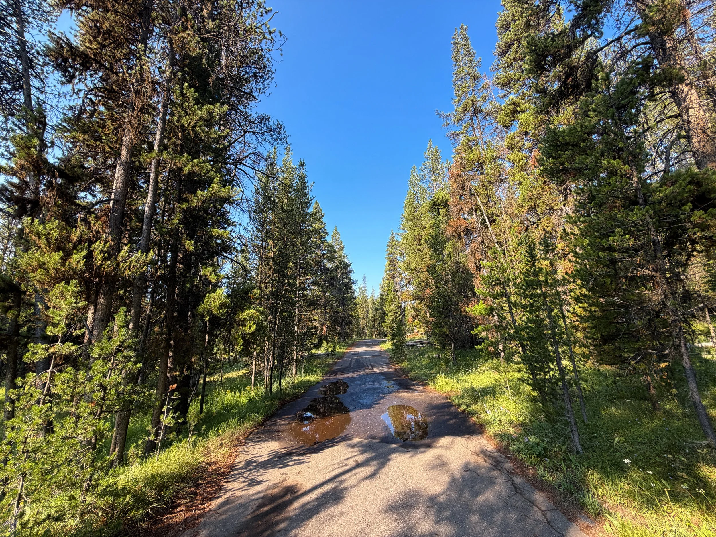 Natural Bridge Hike Yellowstone National Park Wyoming