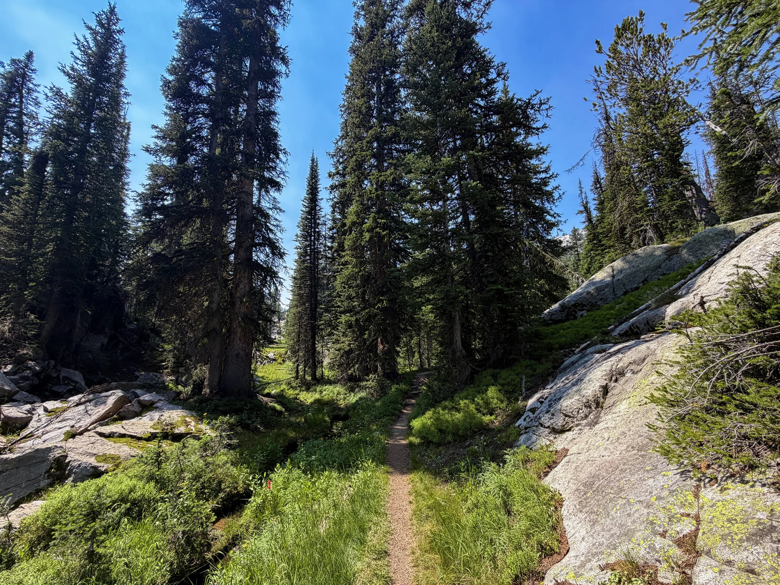 The Beaten Path Trail Beartooth Mountains Montana