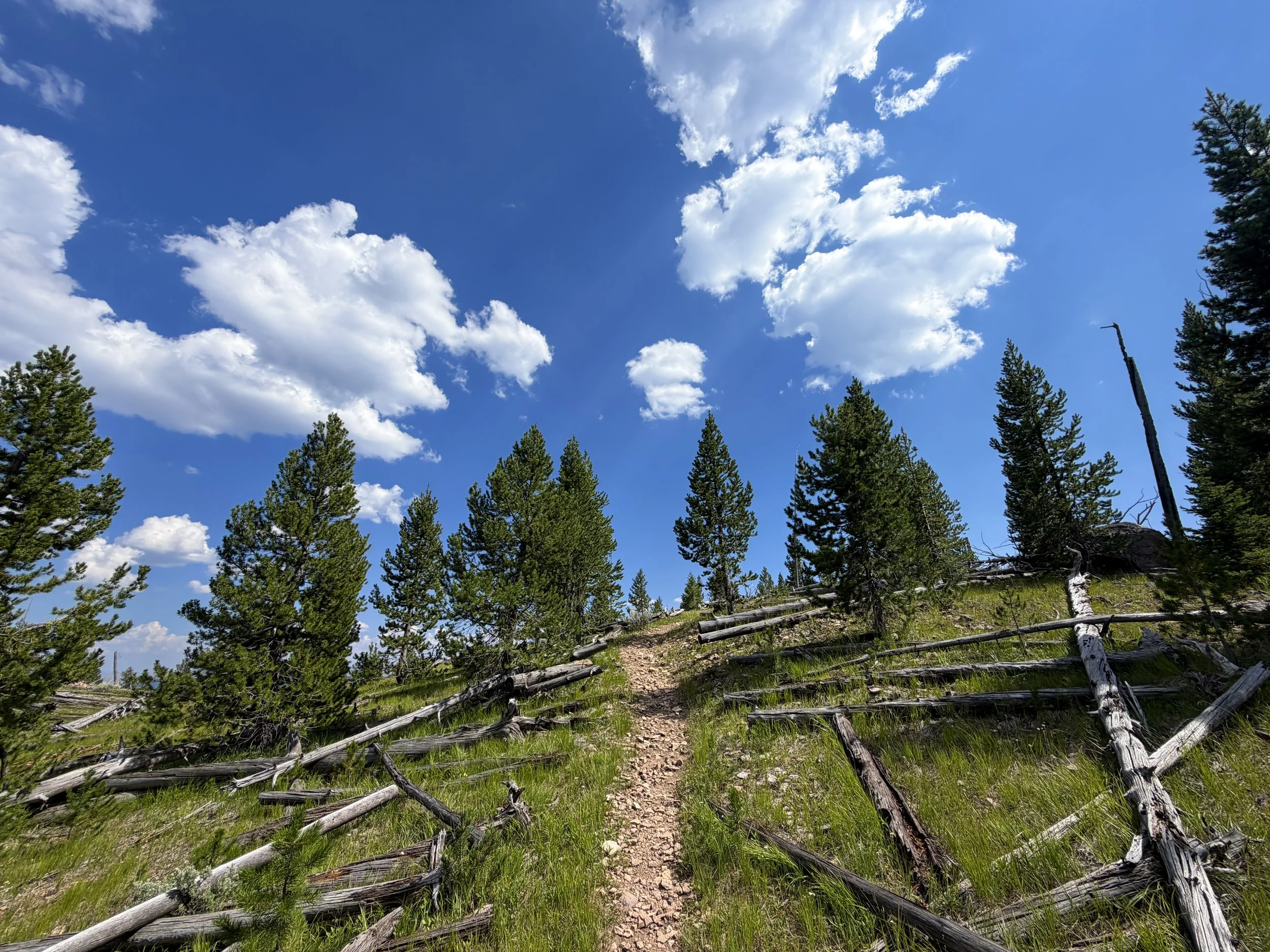 Bunsen Peak Trail Yellowstone National Park Wyoming