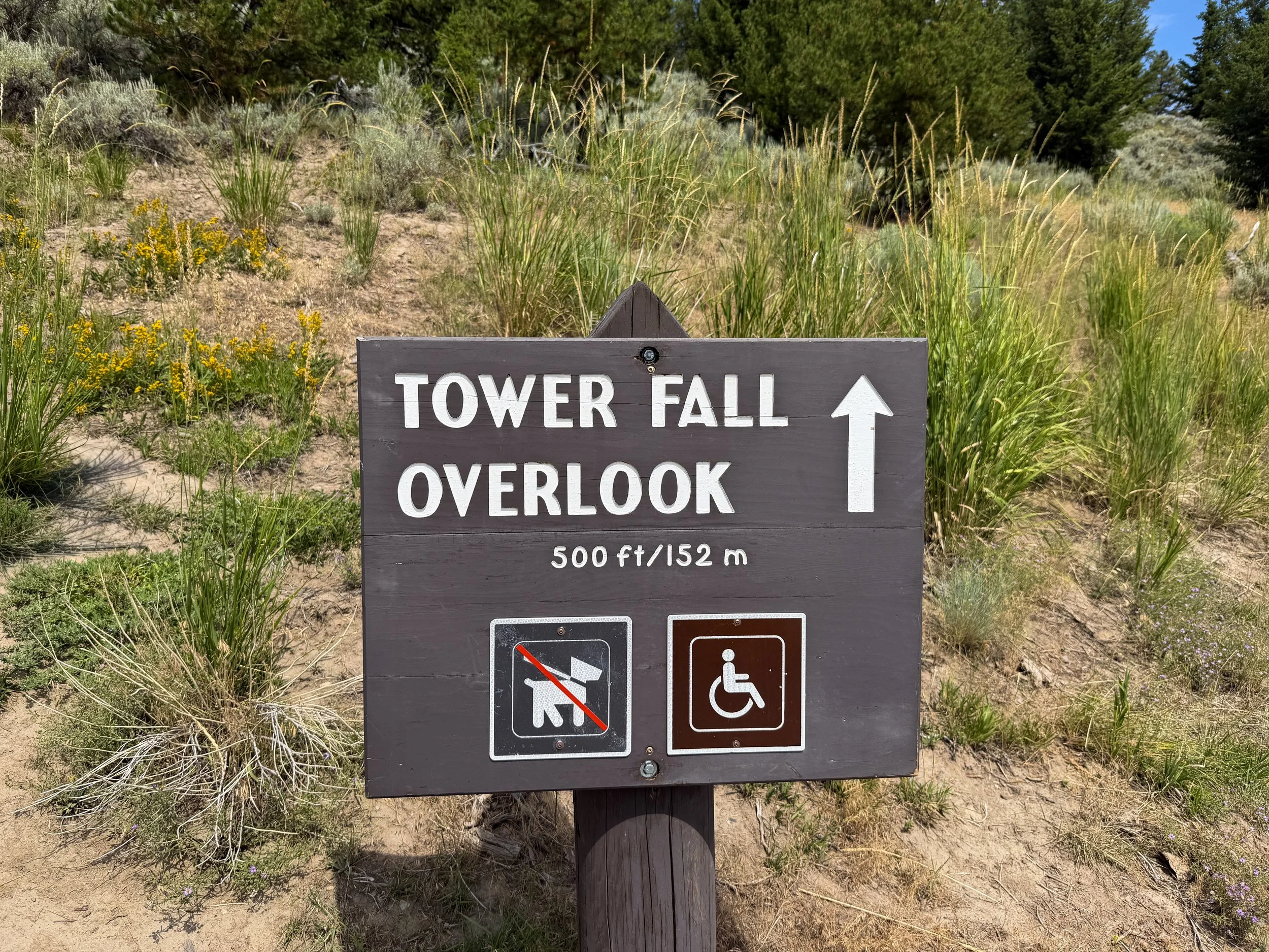 Tower Falls Trailhead Yellowstone National Park Wyoming