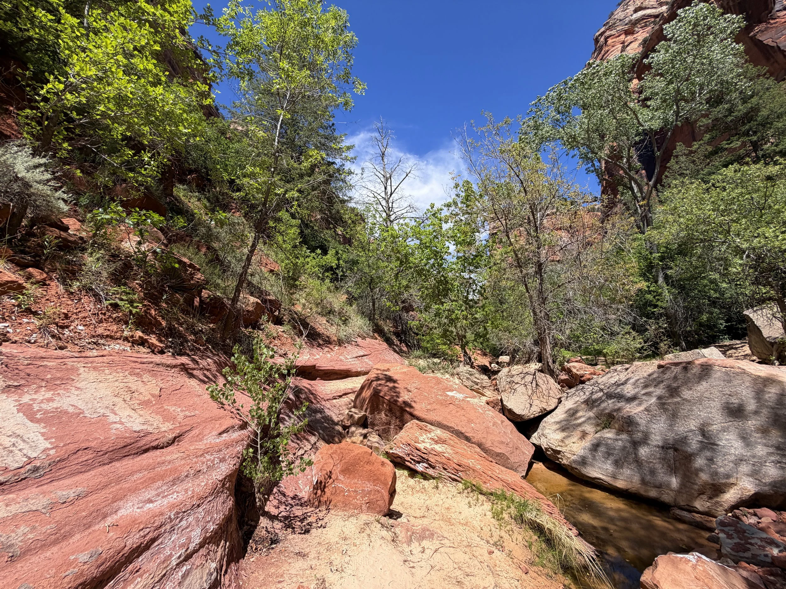 Left Fork North Creek Trail to the Subway Zion National Park Utah