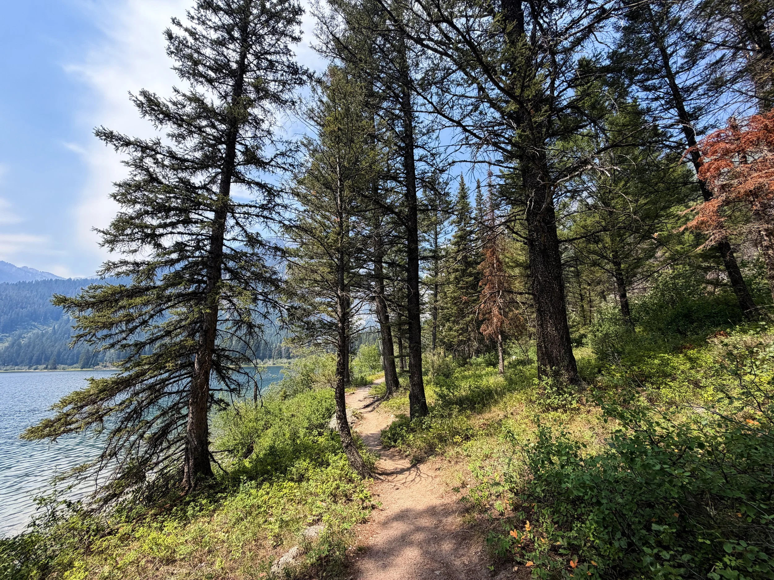 Phelps Lake Loop Trail Grand Teton National Park Wyoming