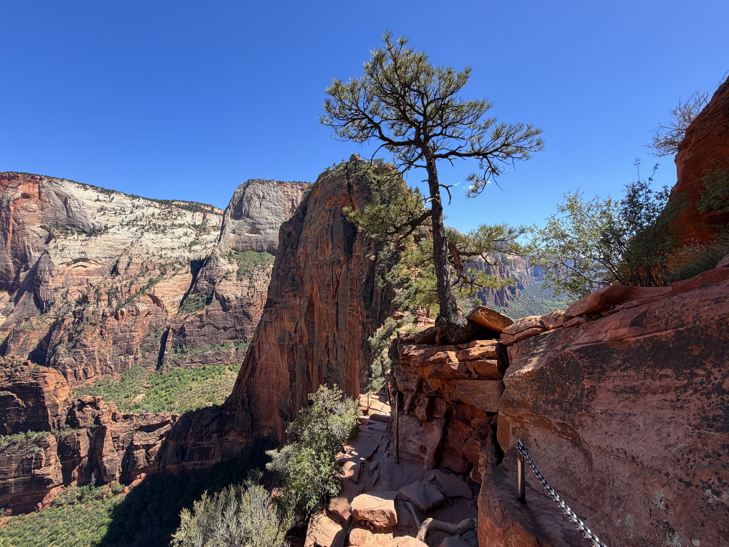 Angels Landing Trail Chains Zion National Park Utah