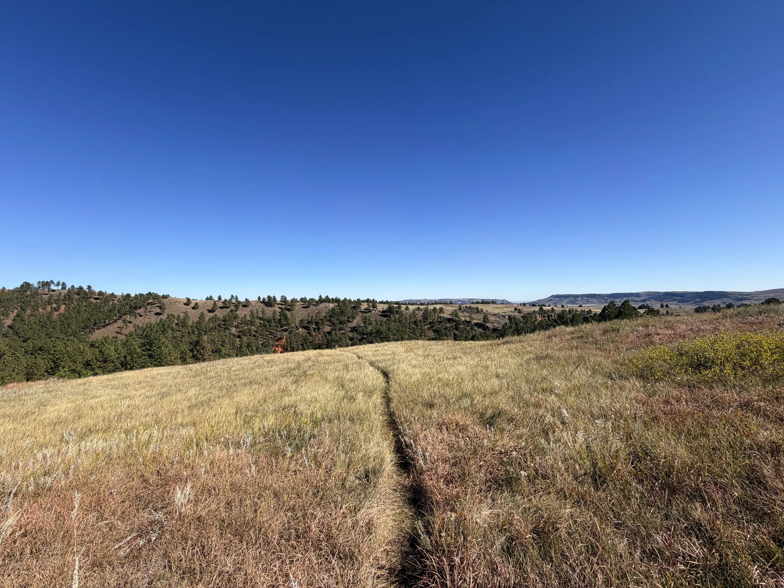 East Bison Flats Hike Wind Cave National Park South Dakota
