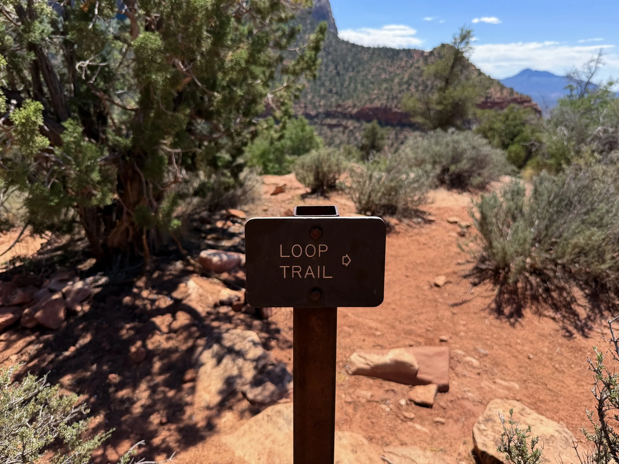 Watchman Loop Trail Zion National Park Utah