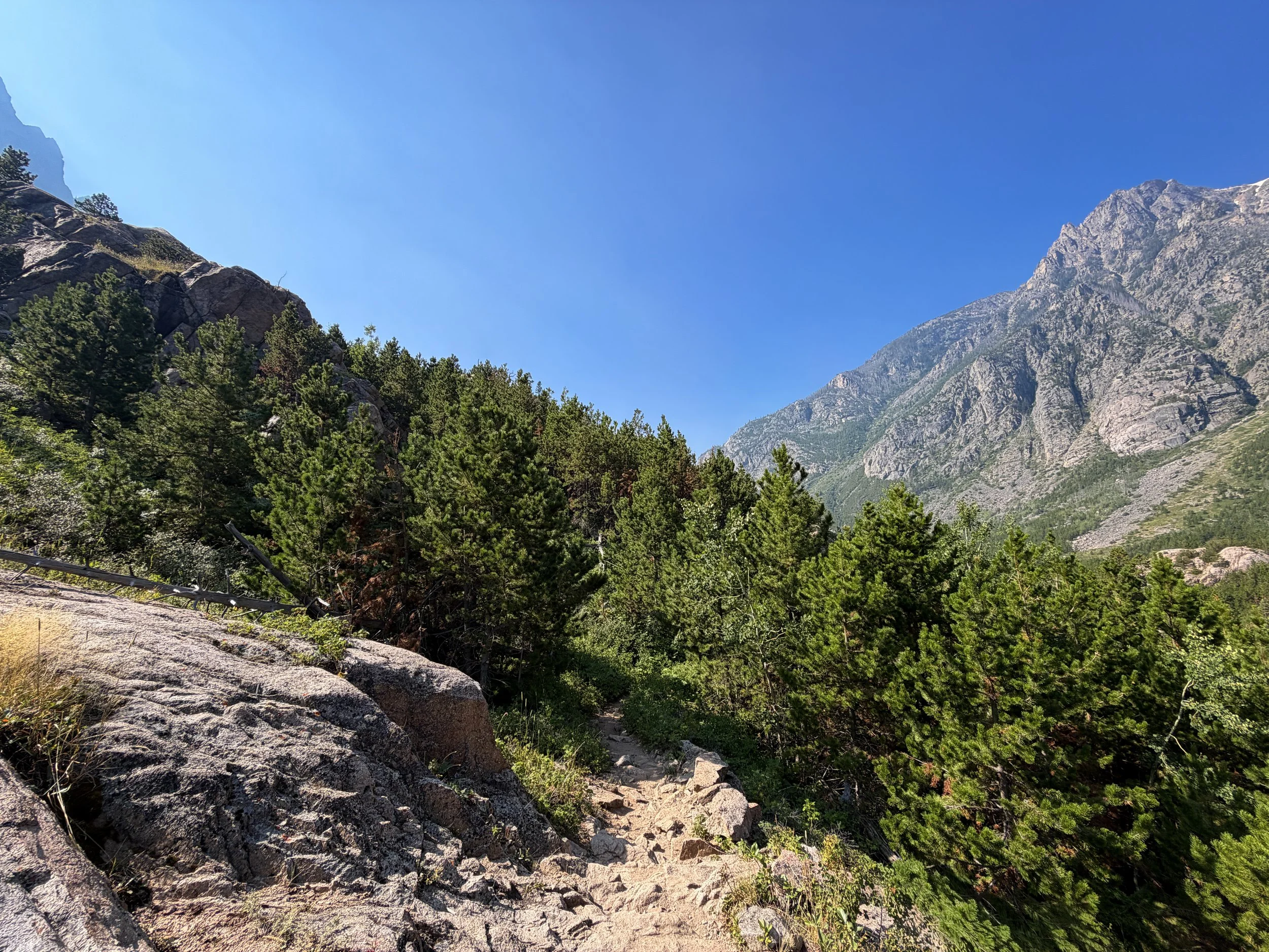 Beaten Path Trail Beartooth Mountains Montana
