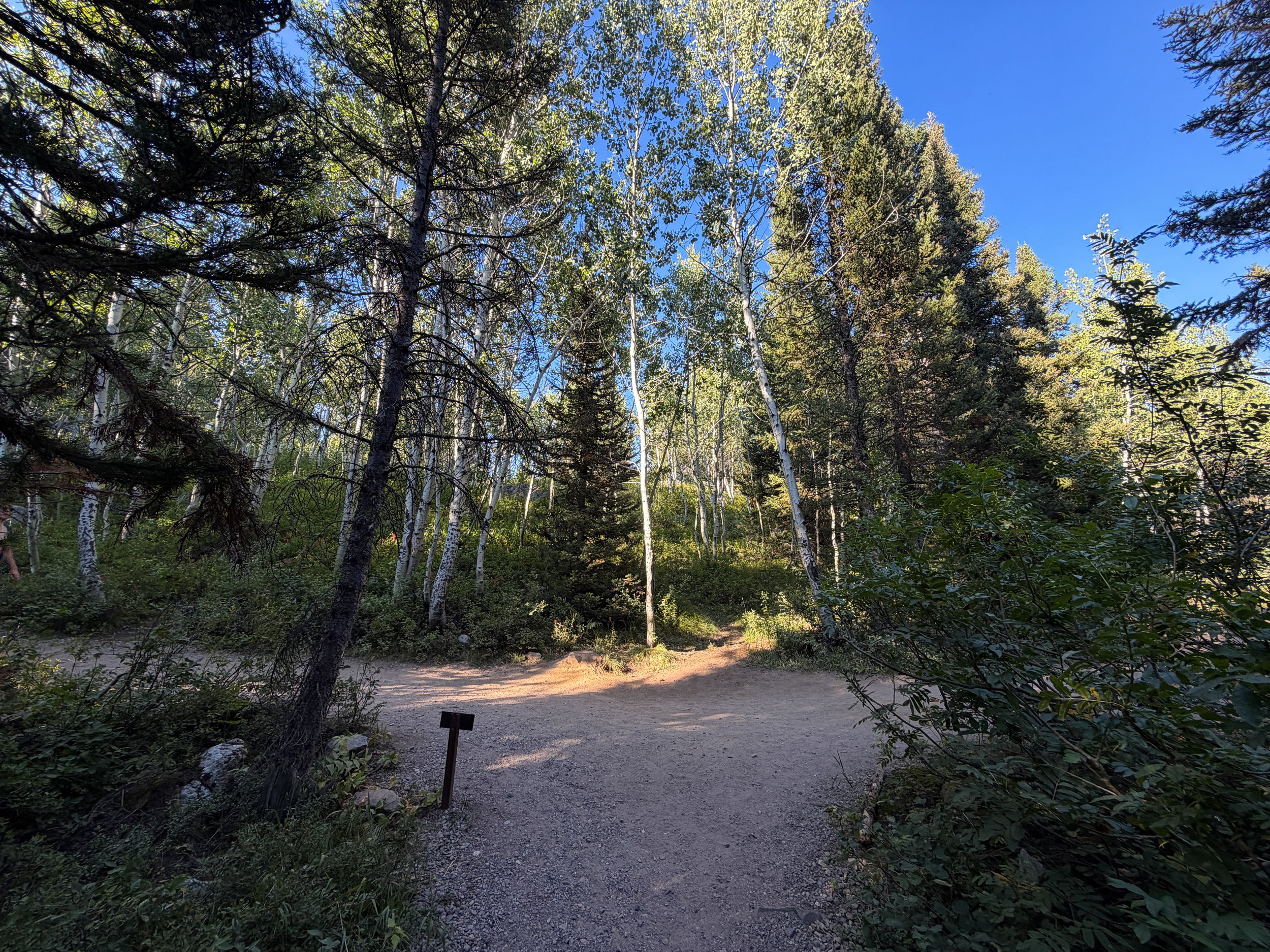 Moose Ponds Loop Trail Grand Teton National Park Wyoming