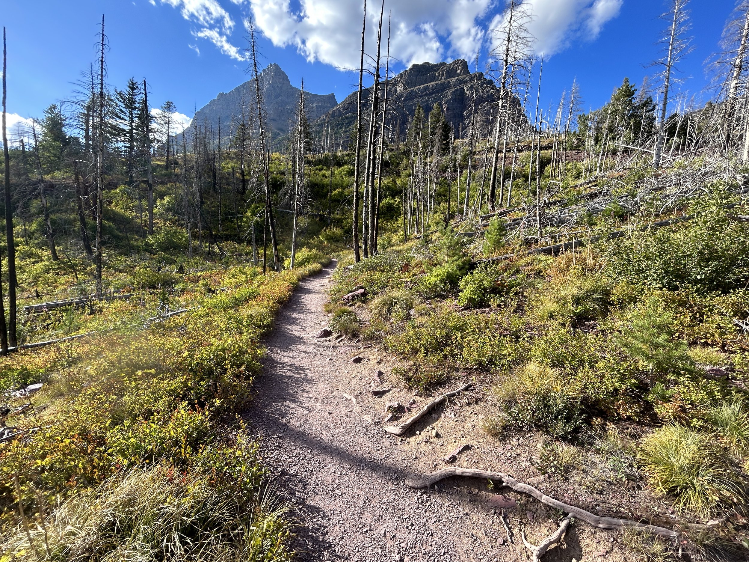 Hiking the St. Mary & Virginia Falls Trail in Glacier National Park ...