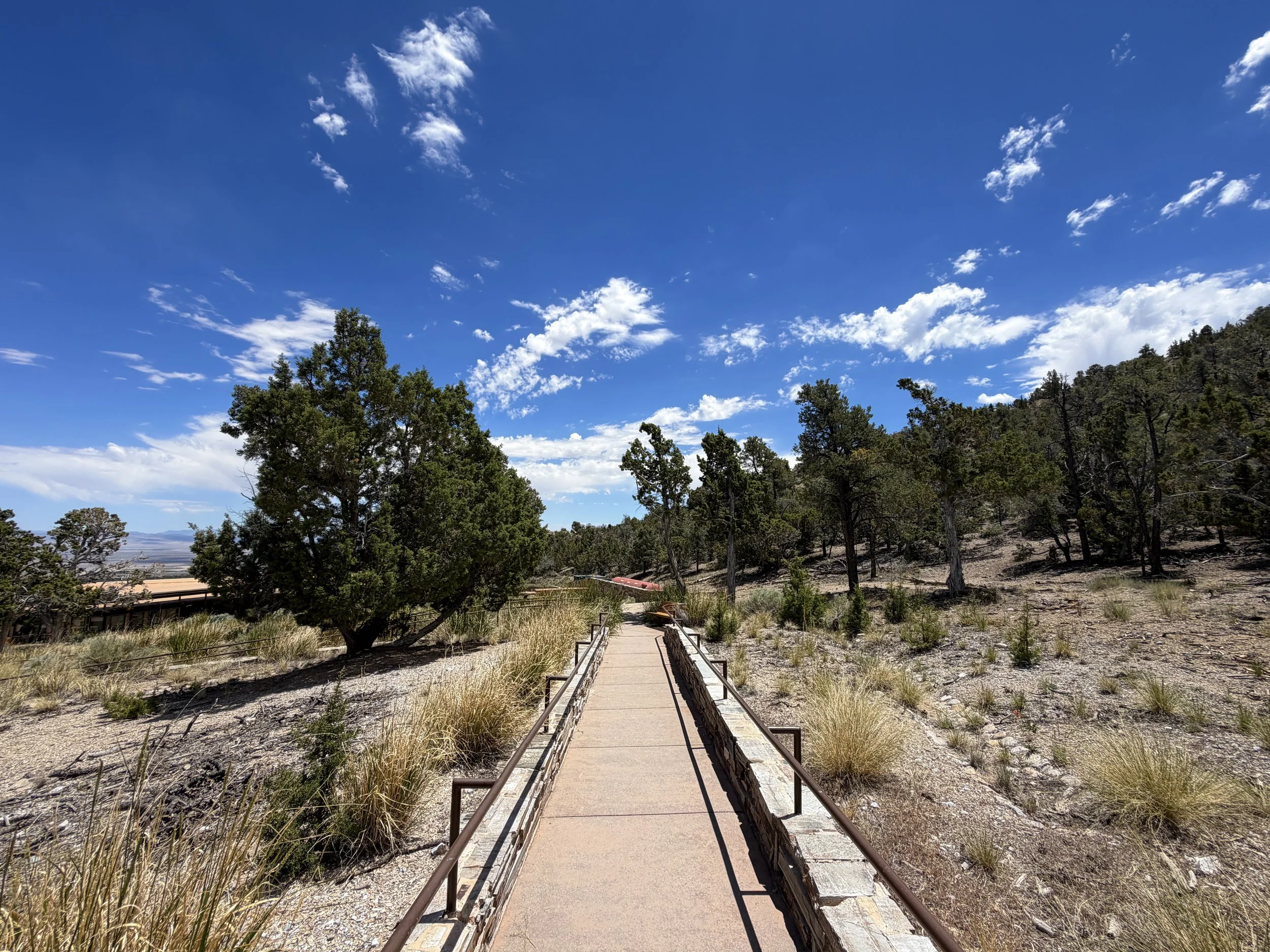 Mountain View Nature Trail Great Basin National Park Nevada