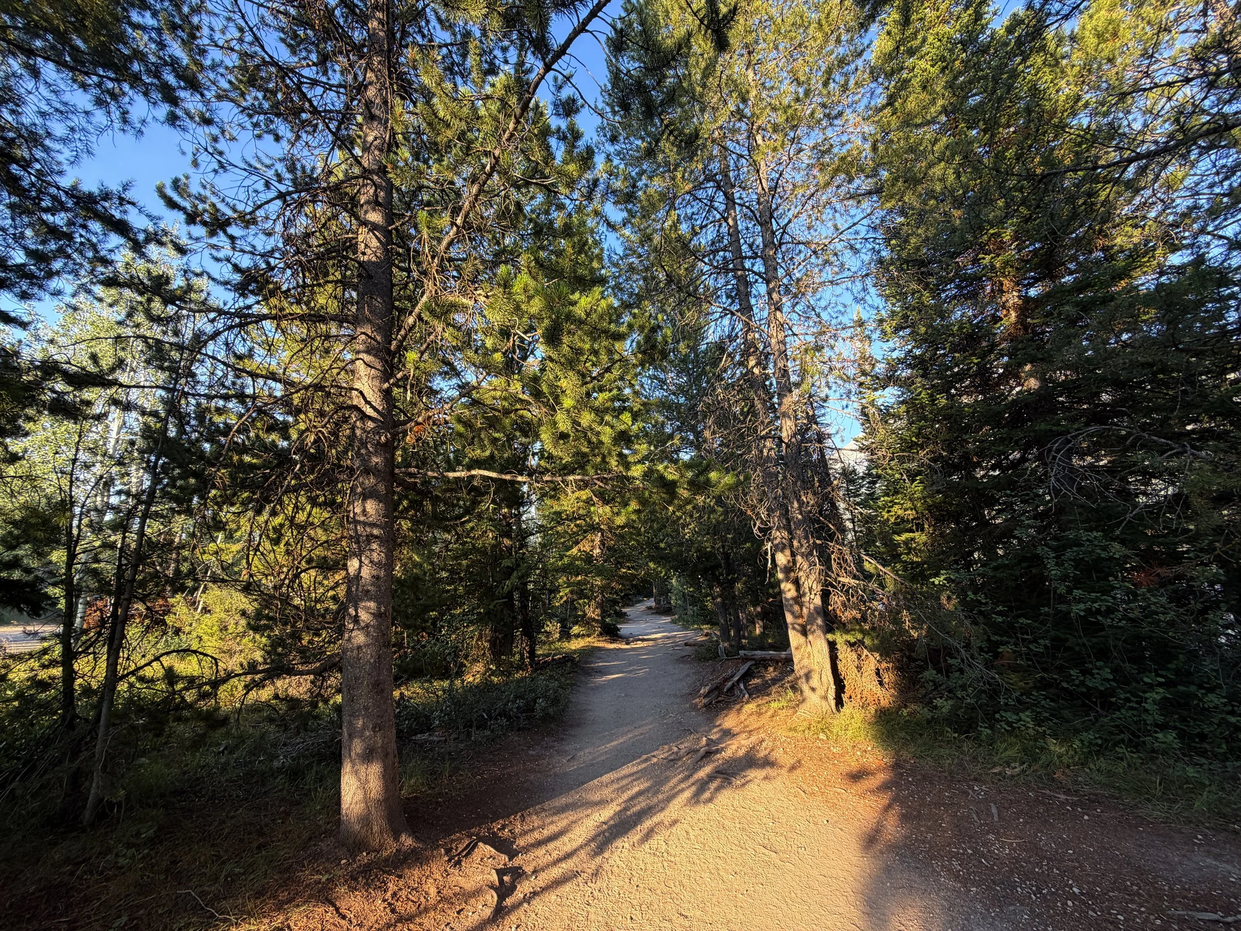 Hidden Falls Trail via Jenny Lake Grand Teton National Park Wyoming