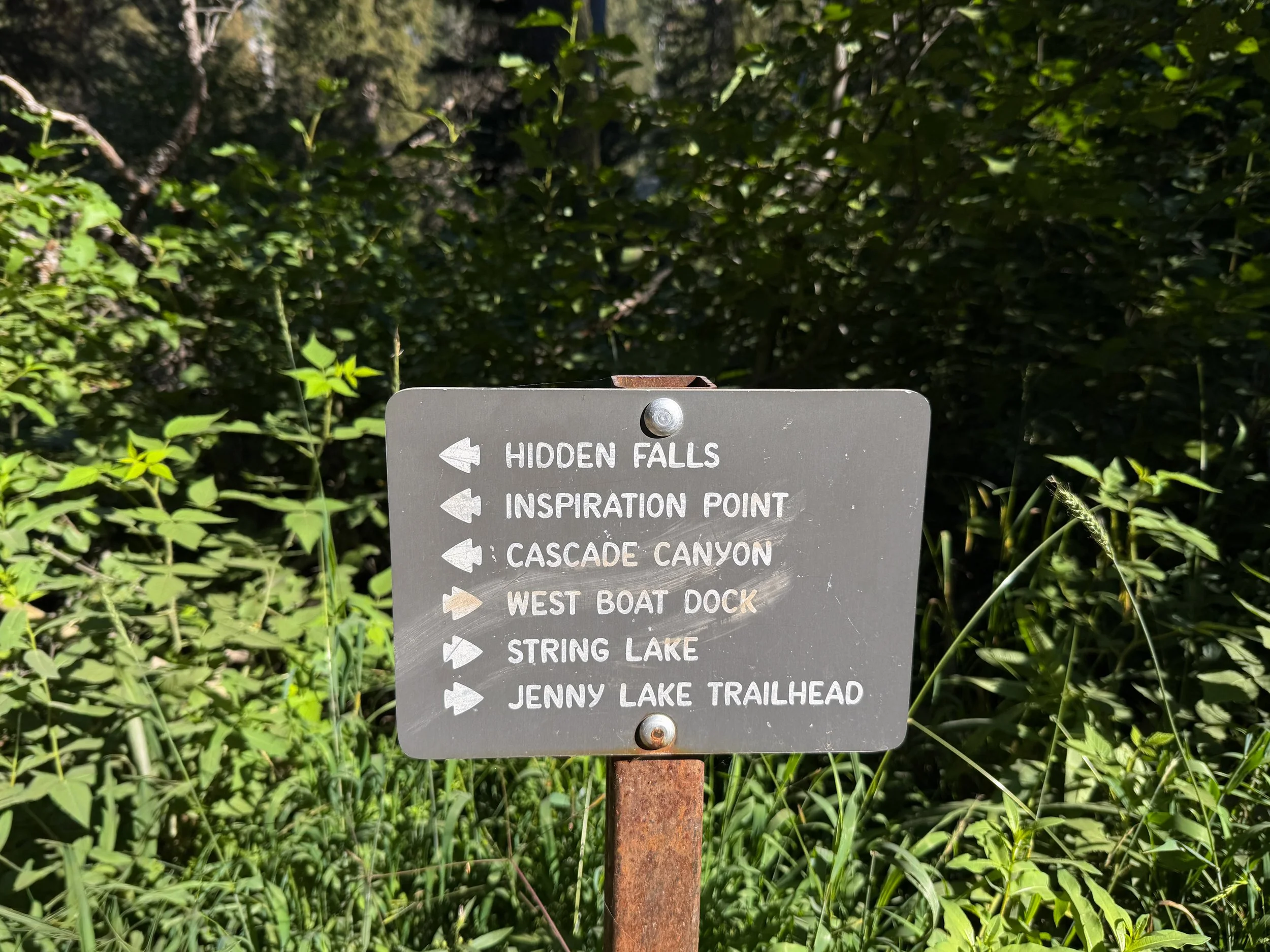 Hidden Falls Hike Grand Teton National Park Wyoming