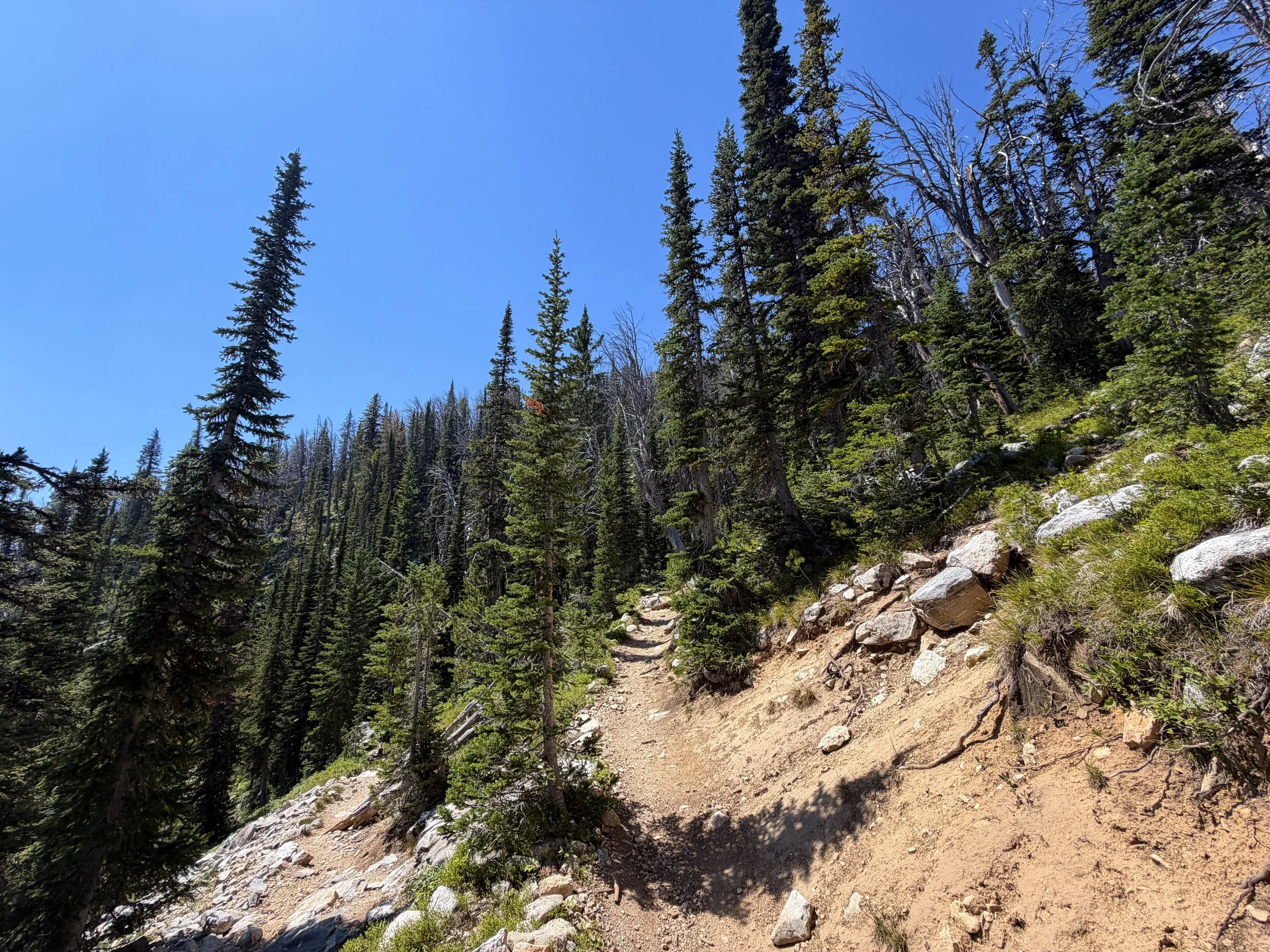 Surprise and Amphitheater Lakes Hike Grand Teton National Park Wyoming