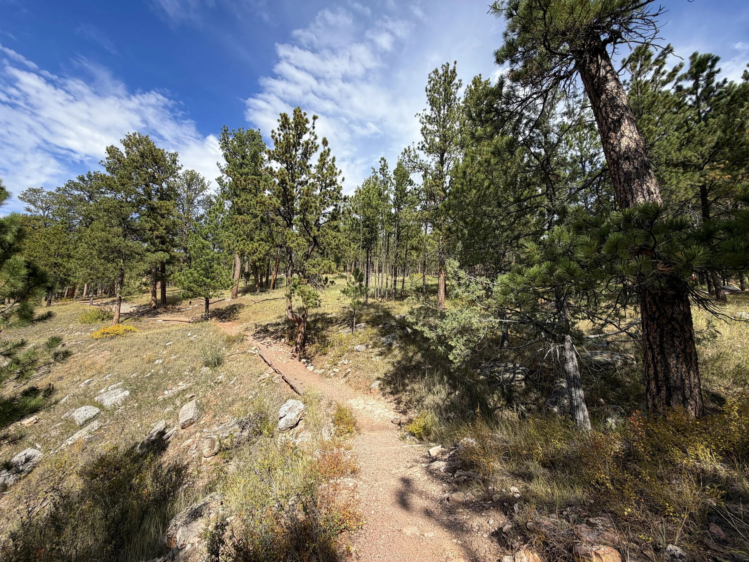 Roof Loop Trail Jewel Cave National Monument Black Hills South Dakota