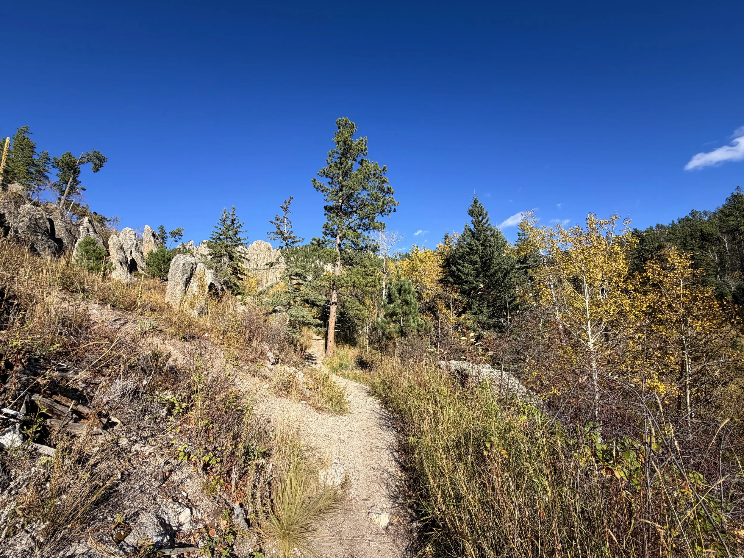 Little Devils Tower Hike Custer State Park Black Hills South Dakota