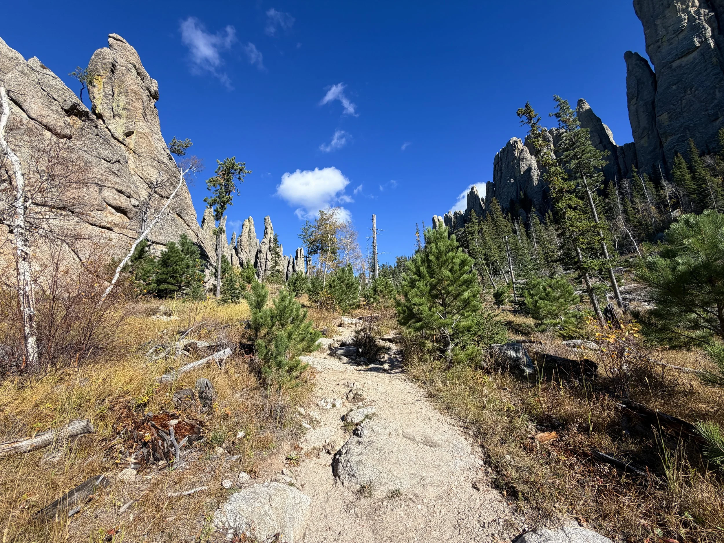 Cathedral Spires Trail Custer State Park Black Hills South Dakota