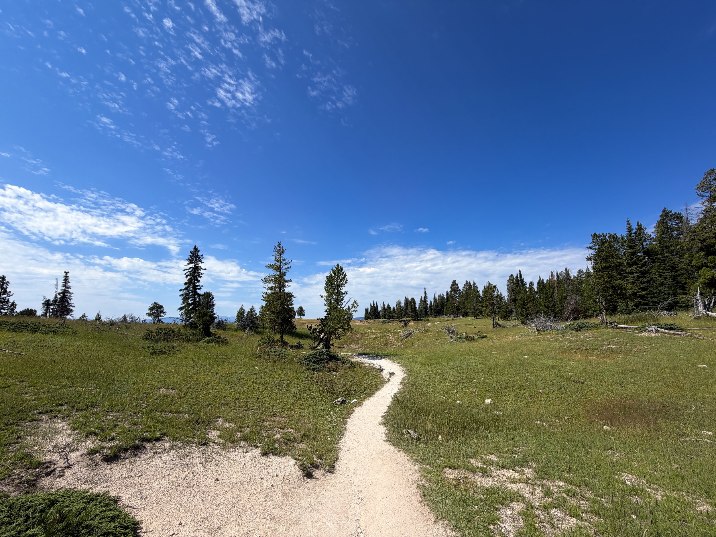 Storm Point Hike Yellowstone National Park Wyoming