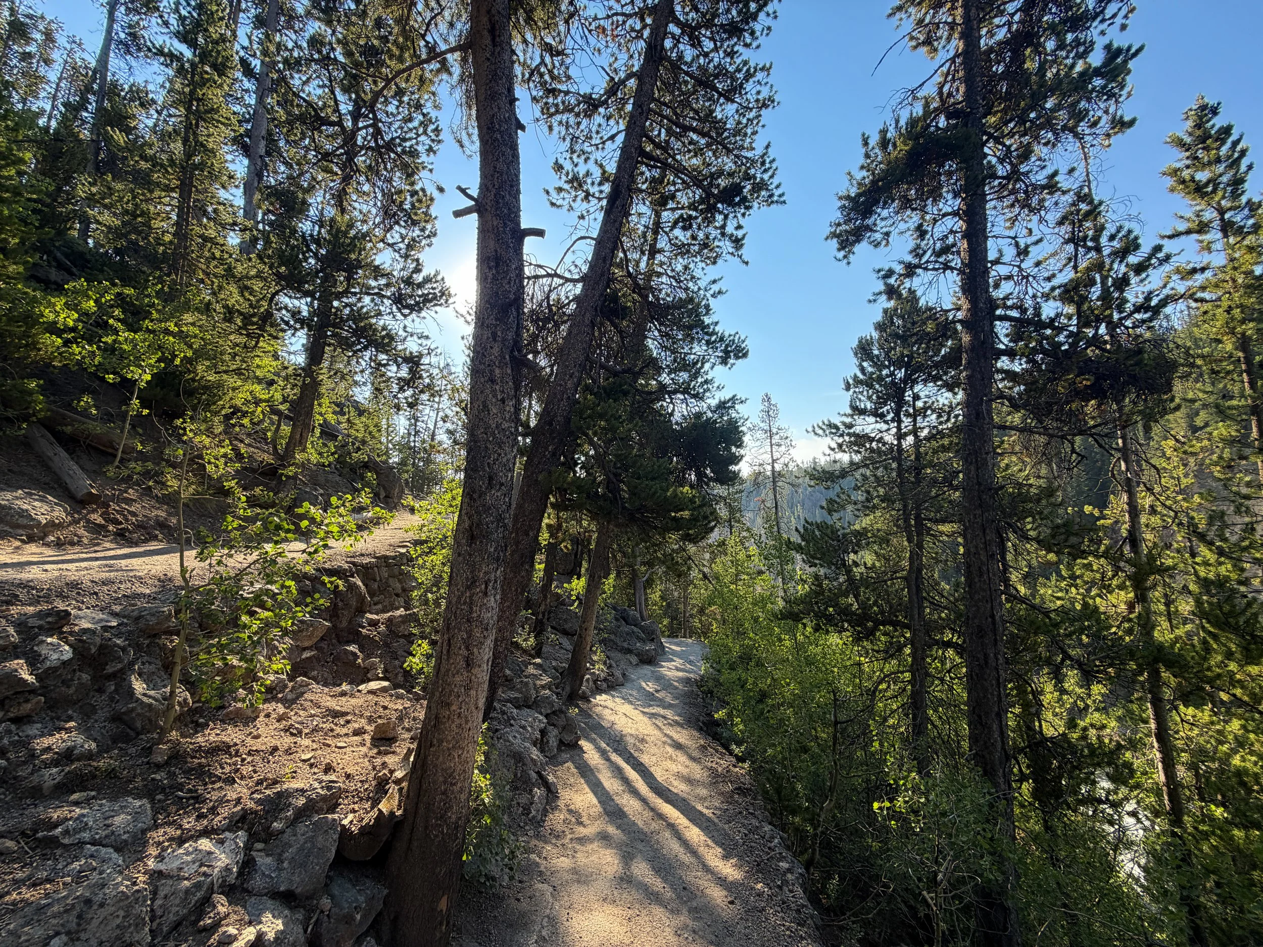 Brink of the Lower Falls Hike Yellowstone National Park Wyoming