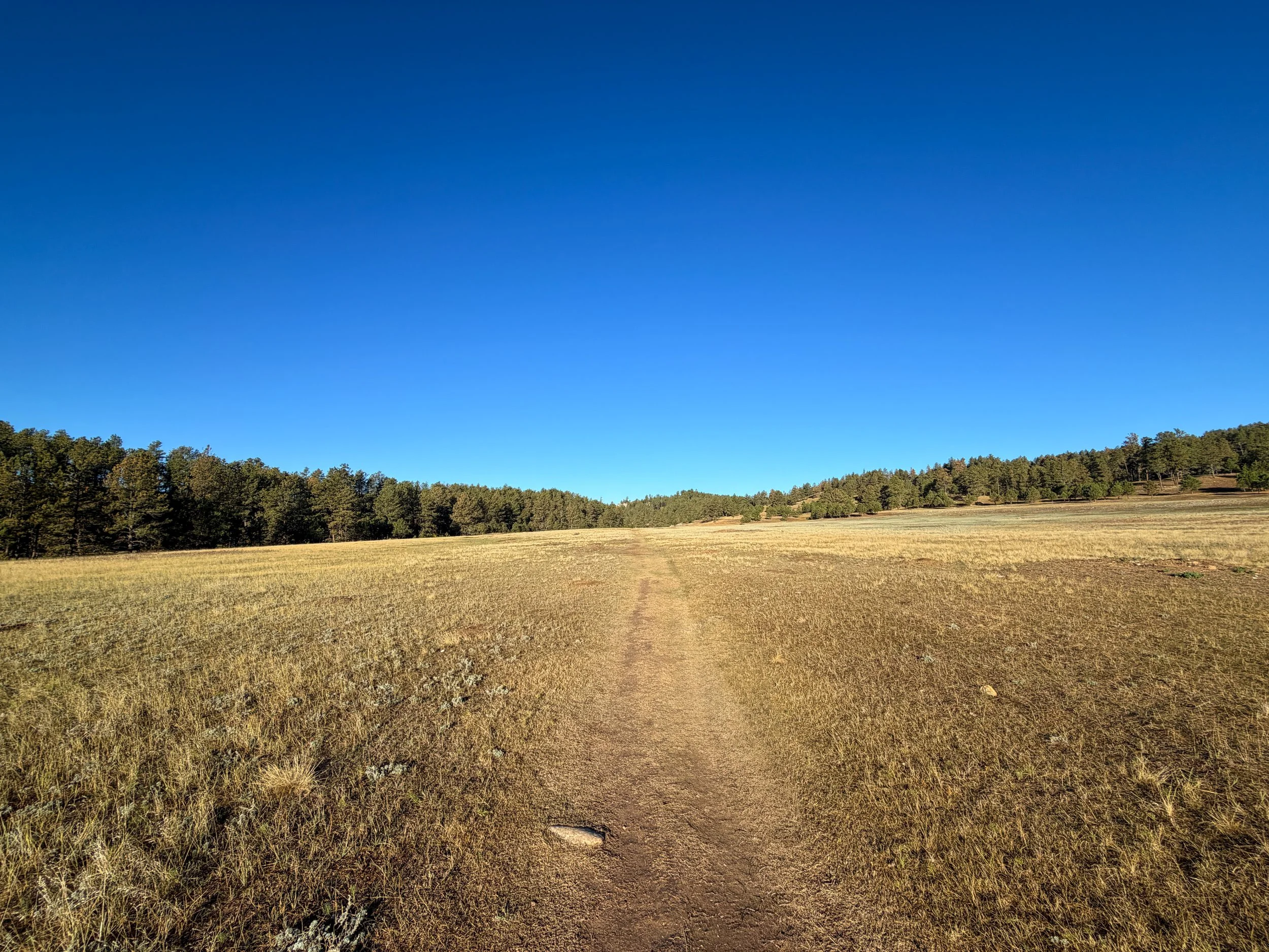 Cold Brook Canyon Hike Wind Cave National Park South Dakota