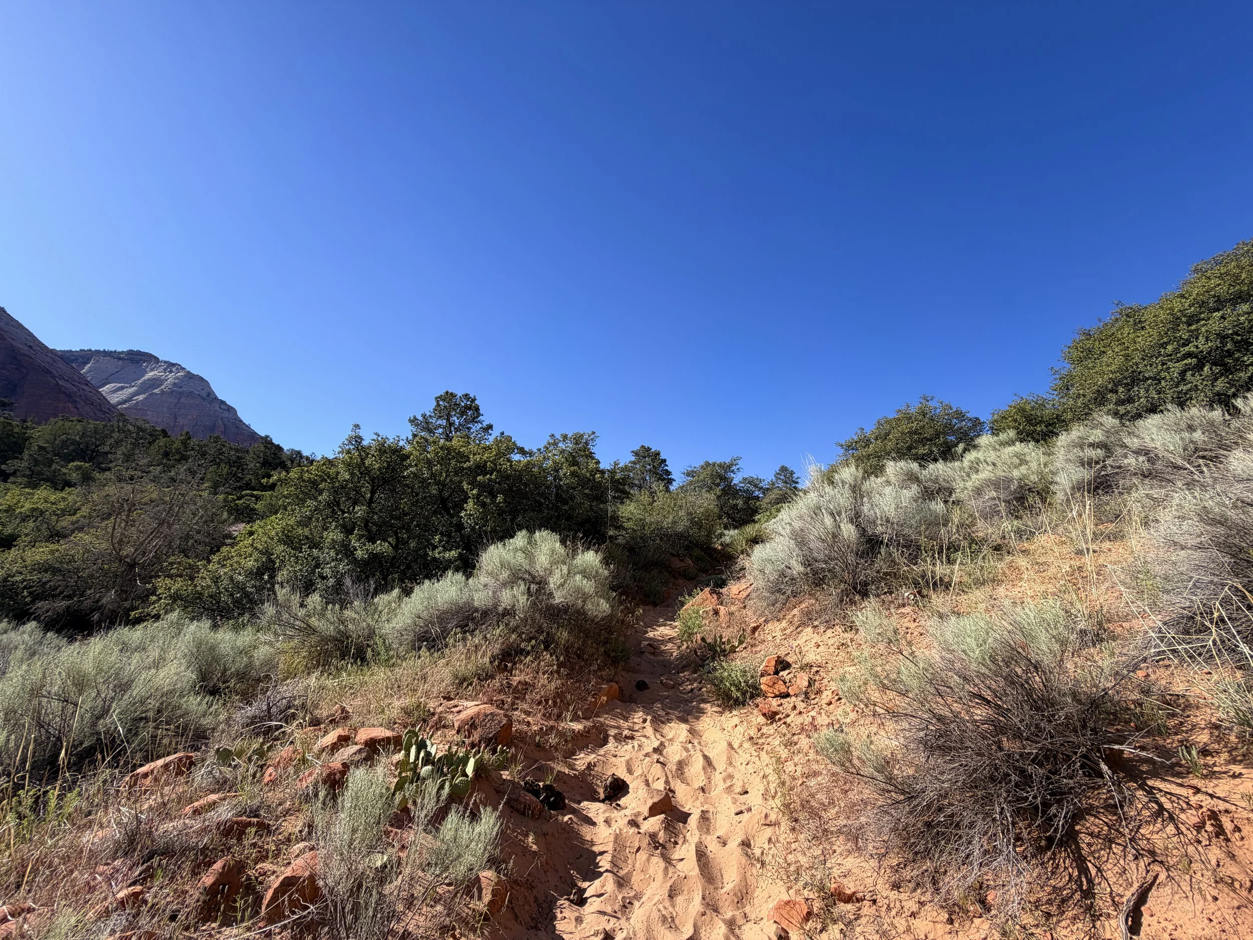 Sand Bench Hike Zion National Park Utah