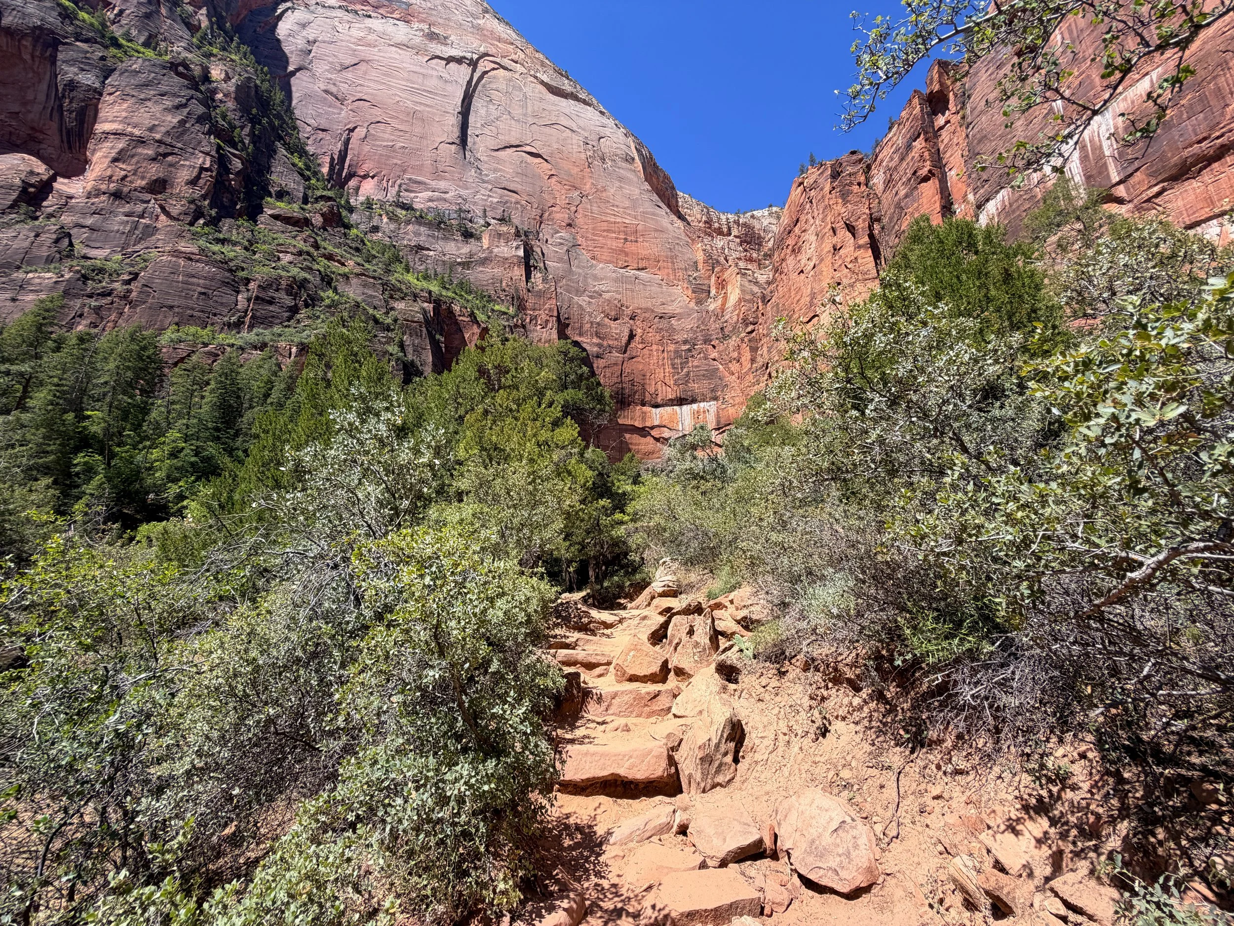 Middle Emerald Pools Trail Zion National Park Utah