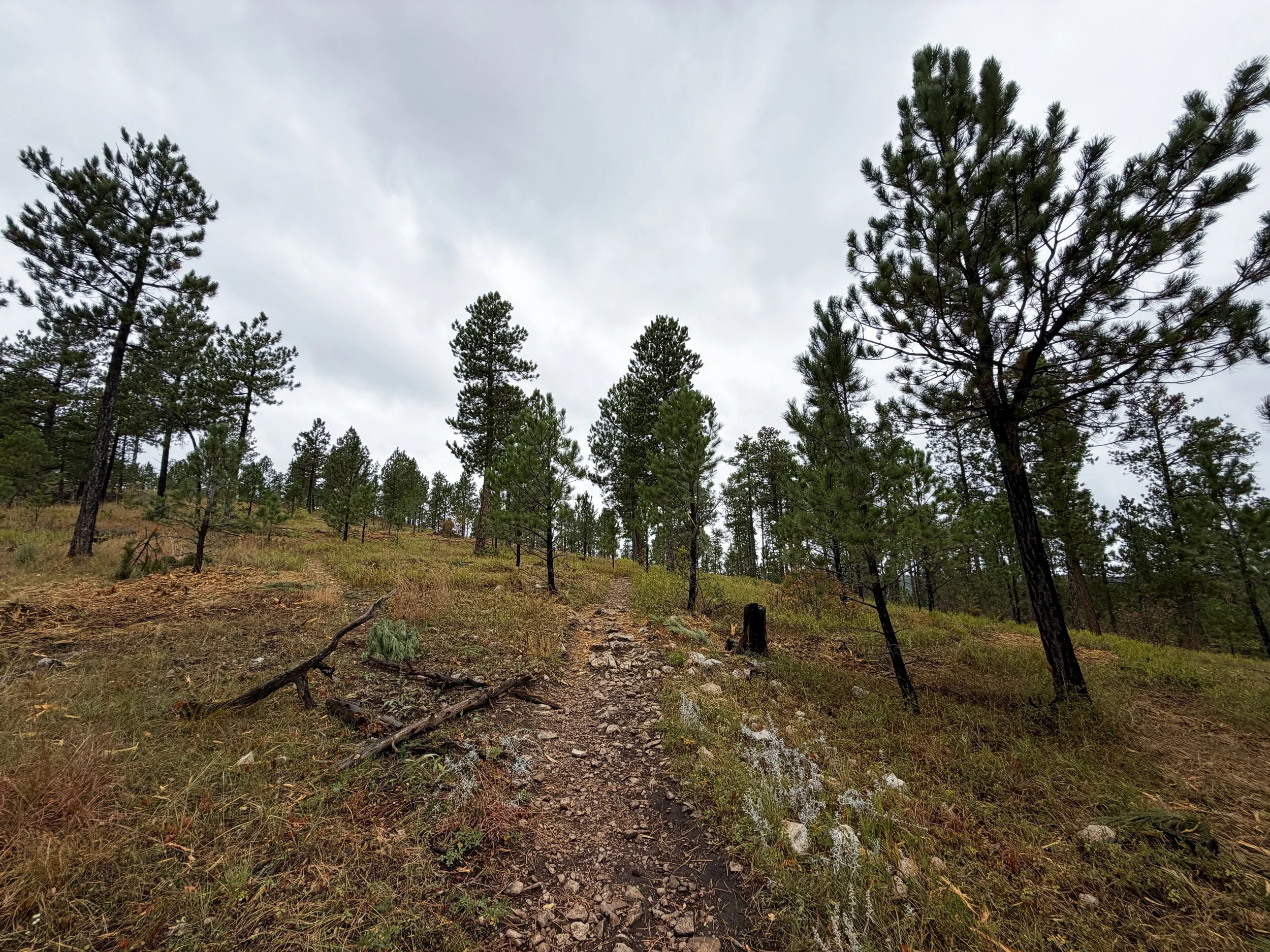Buzzards Roost Hike Black Hills Rapid City South Dakota